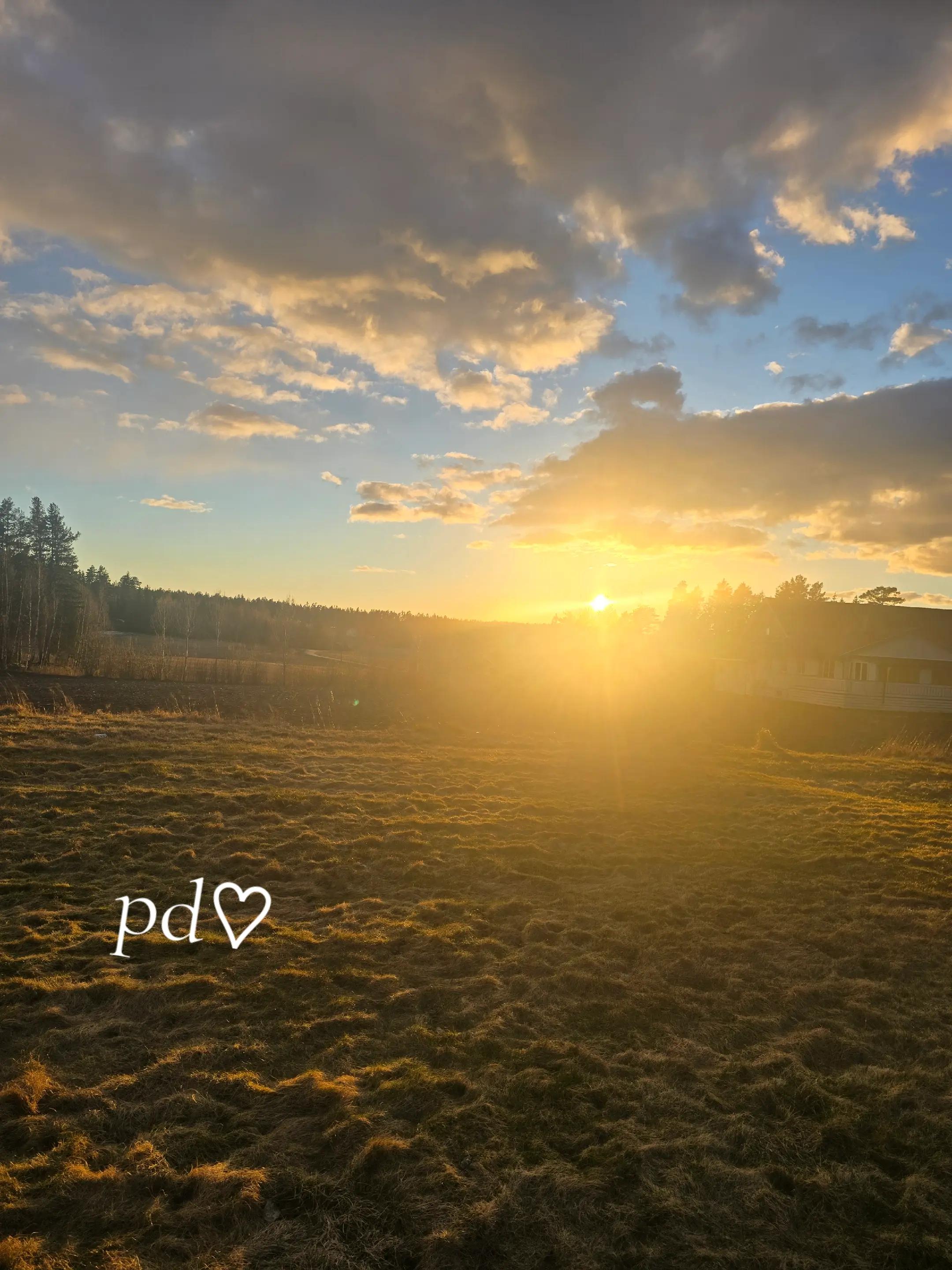 @𝒯𝒽ℯ𝒶♡