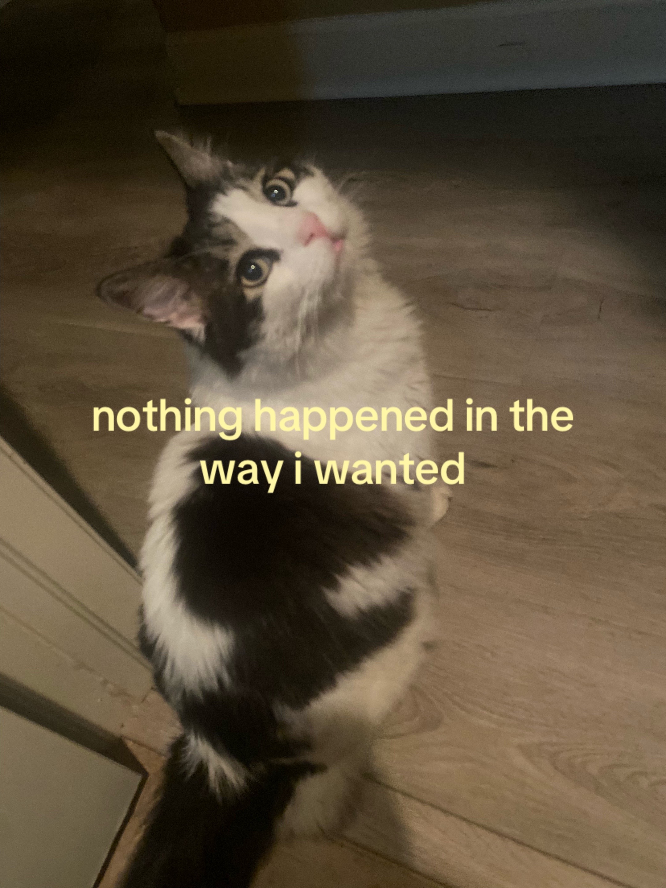 @😸