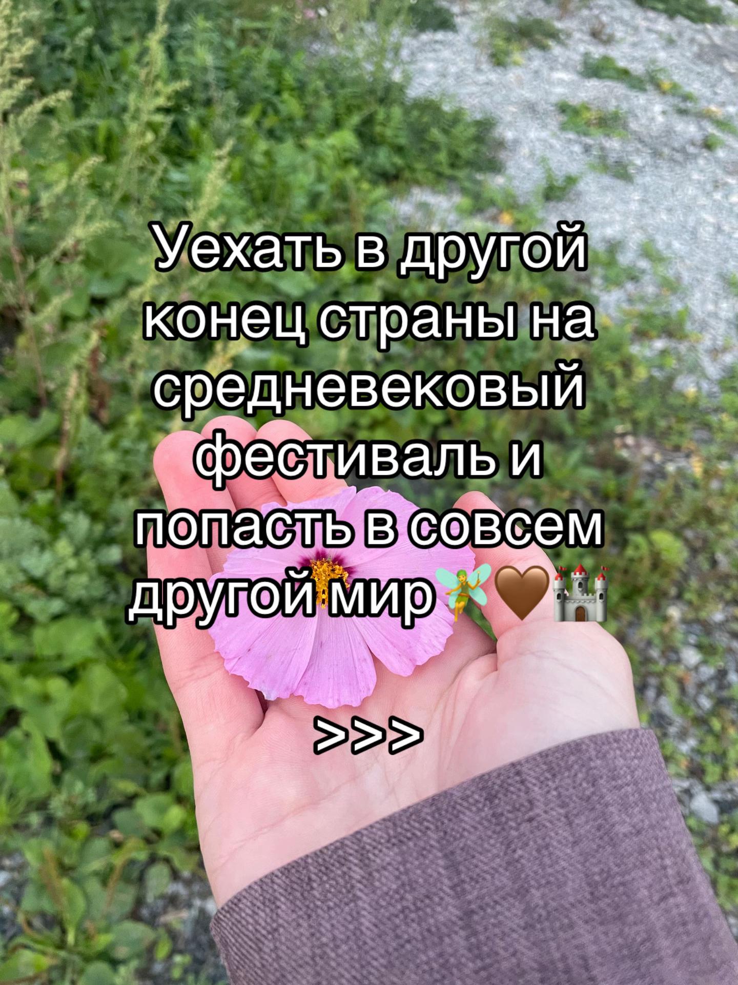@ell_nature🏴