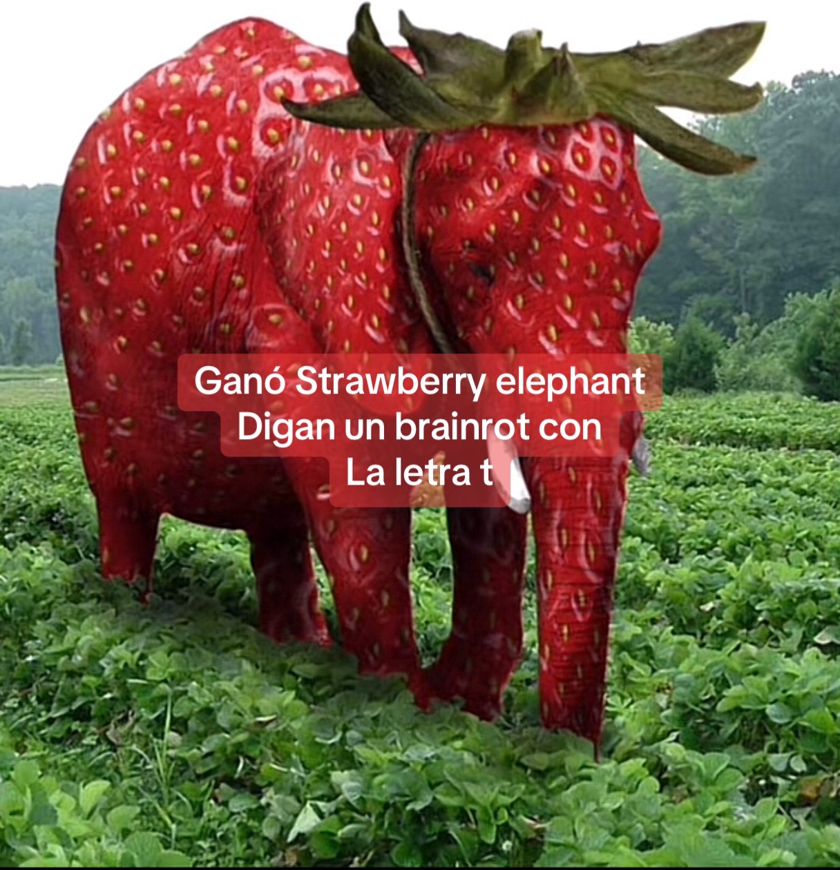 @𝚖𝚎𝚕𝚊𝚗𝚒𝚎 𝚏𝚛𝚎𝚜𝚊 🌷🍓