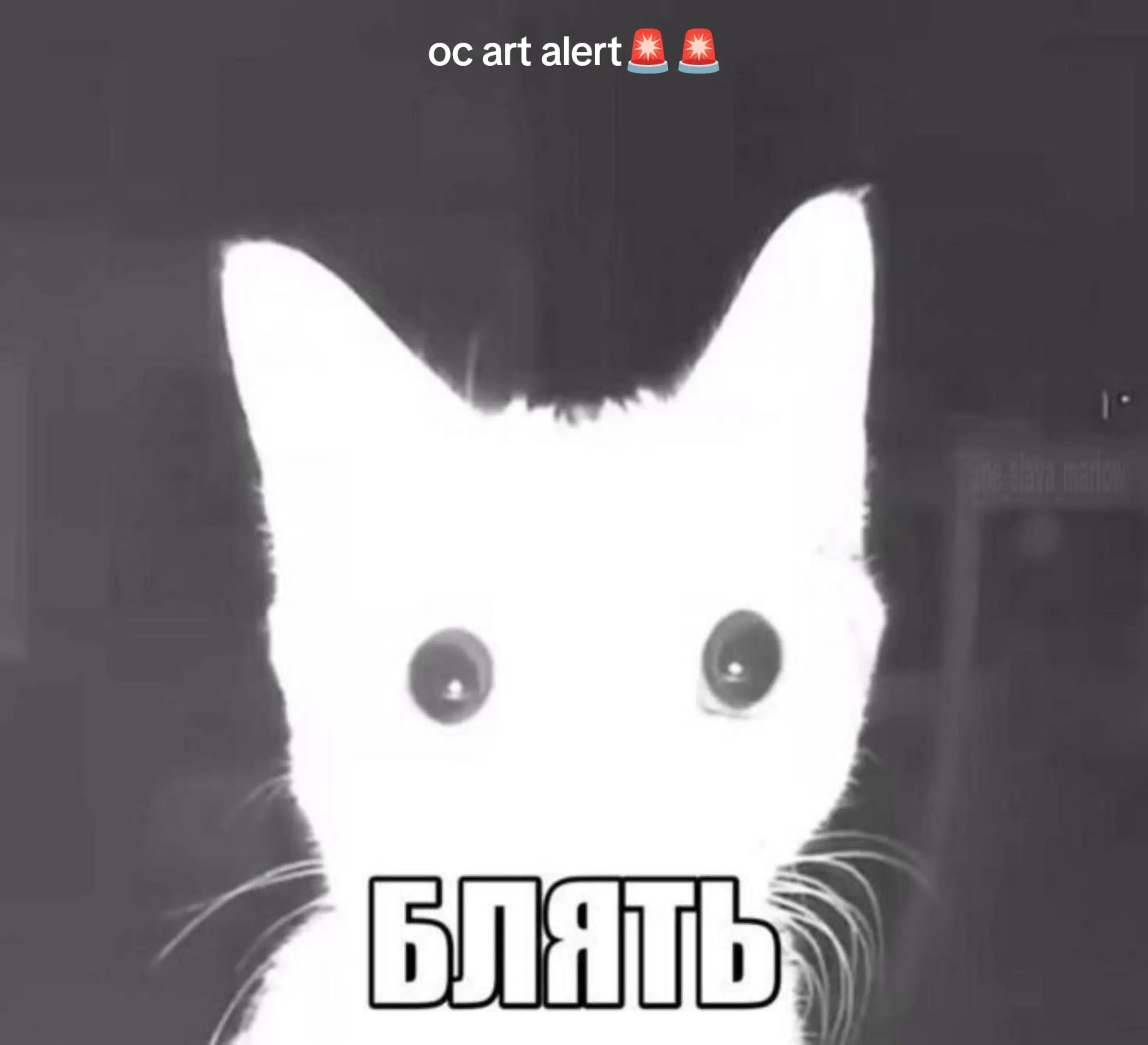 @su-f1k-6