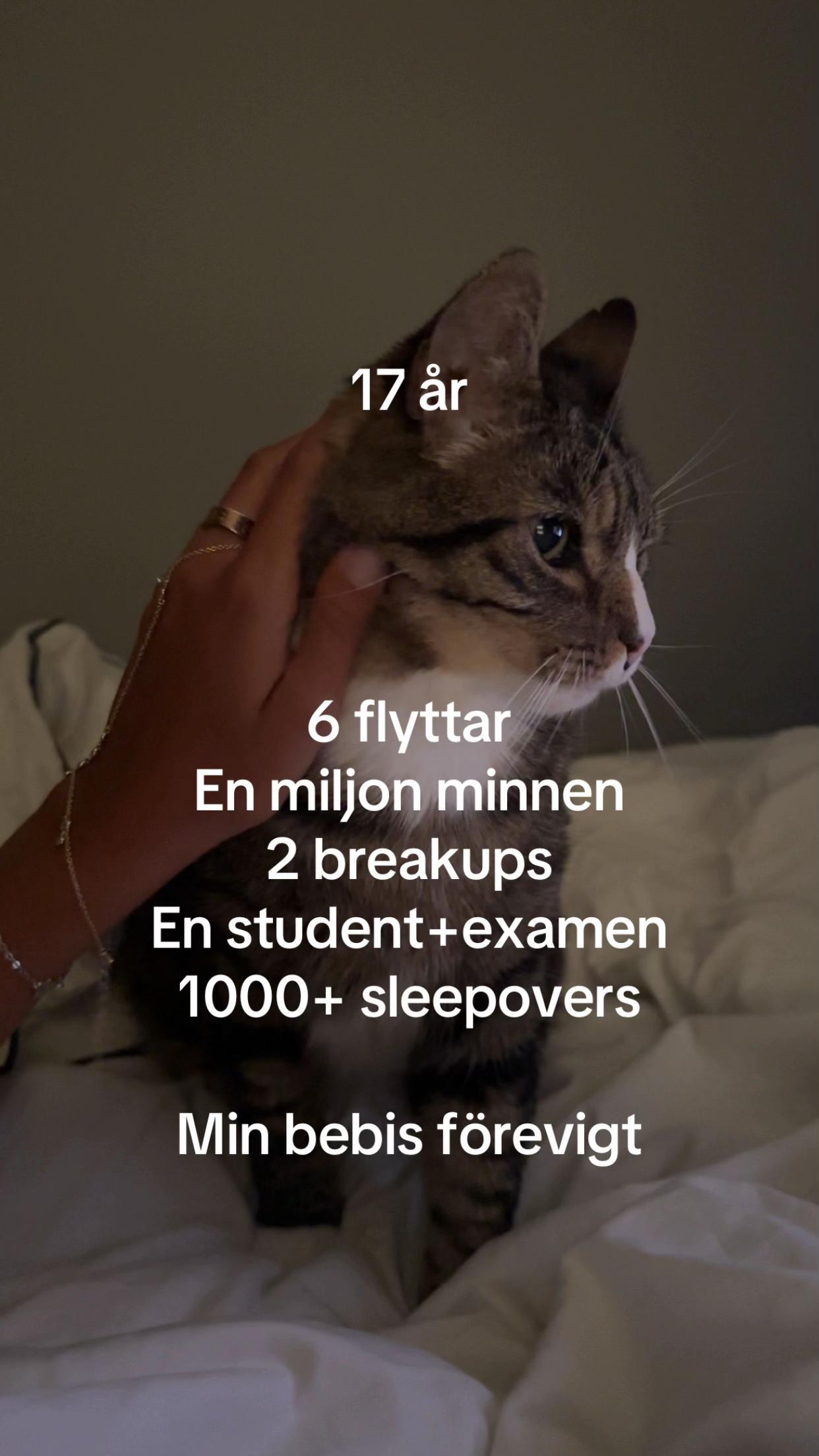 @erikawestling