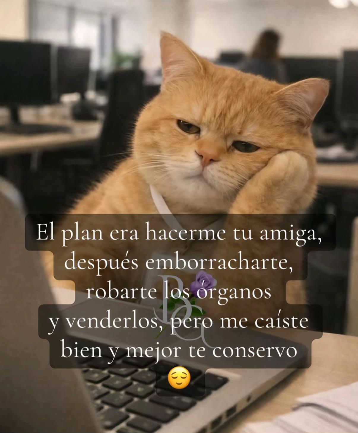 @nancy.lu.mexico. CDT