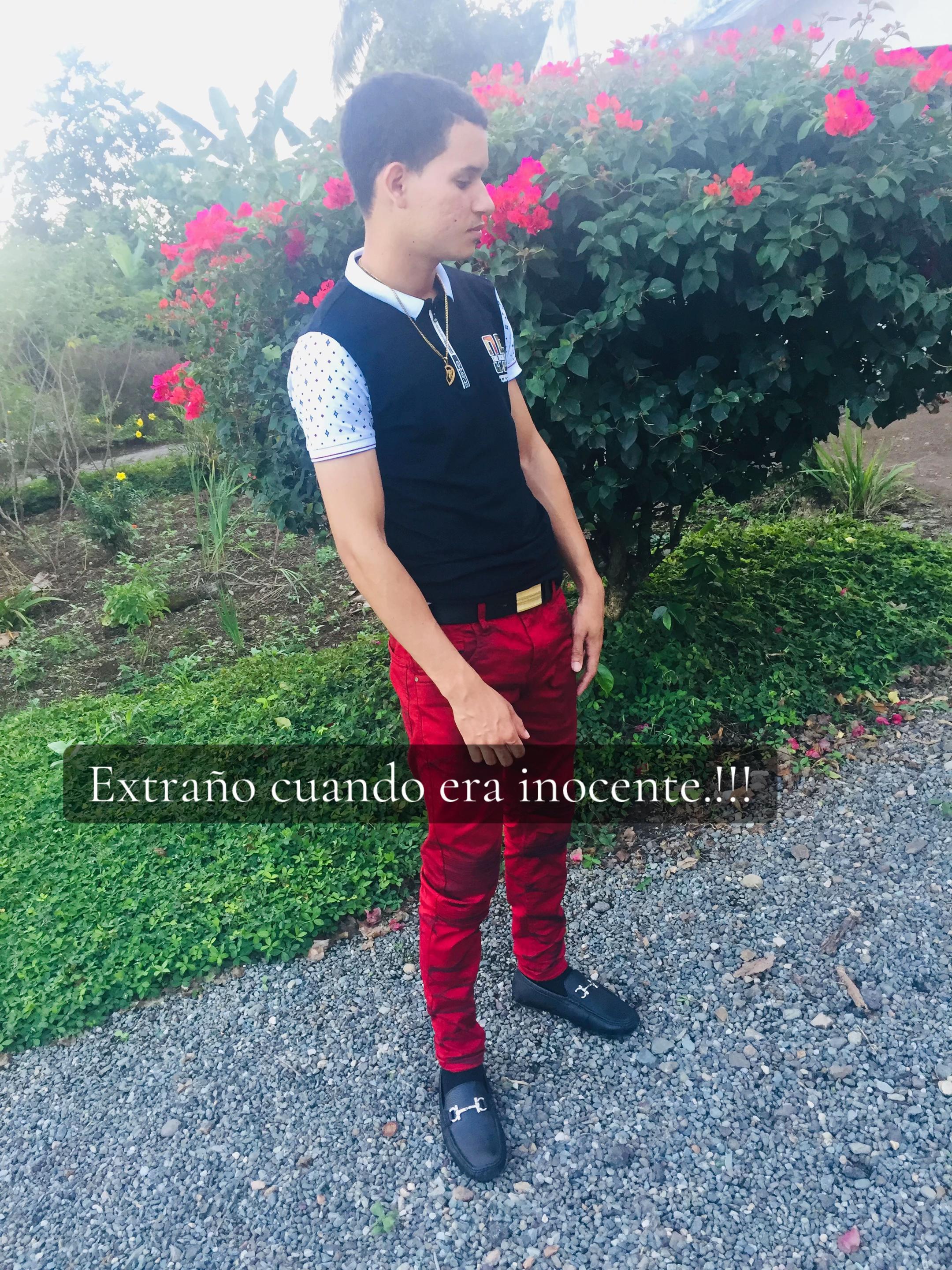 @Luis Adames