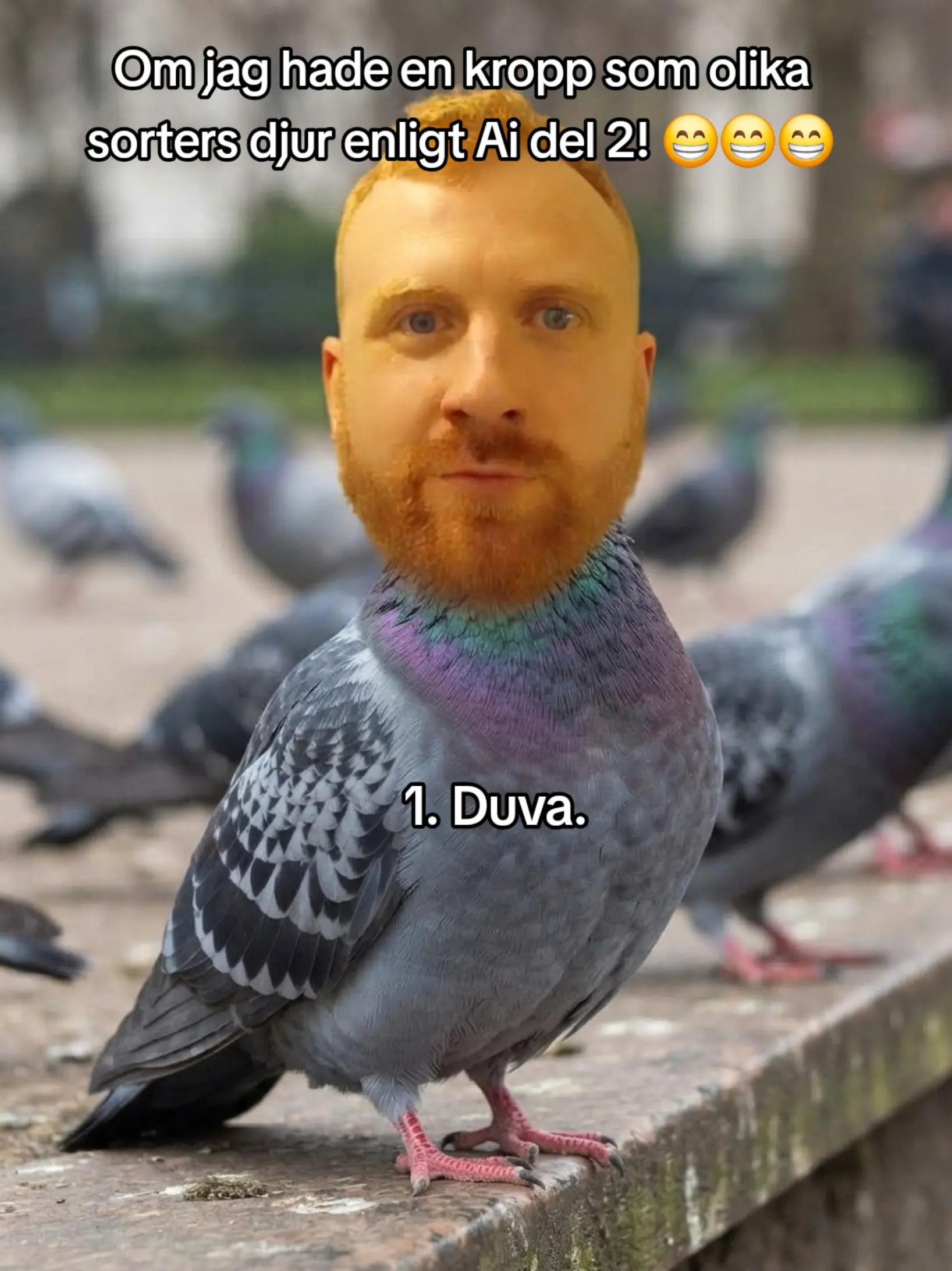 @Danne88