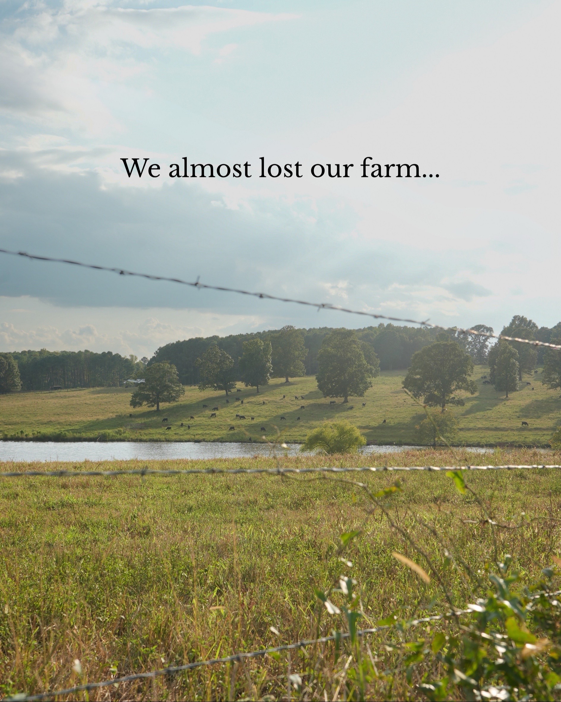 @Lily Hill Farm