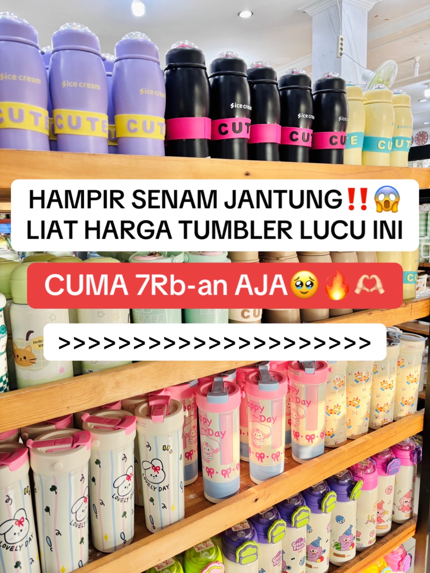 @Ratmiku Lampung