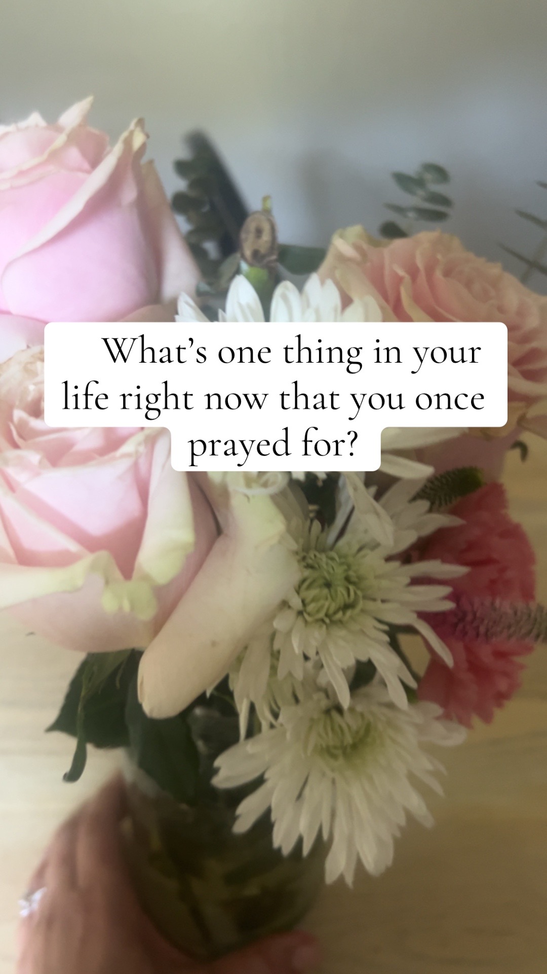 @Susanna | Divorce Strategist