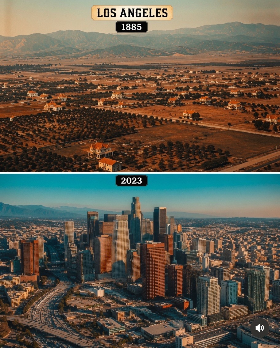 @Erfan | Epic America