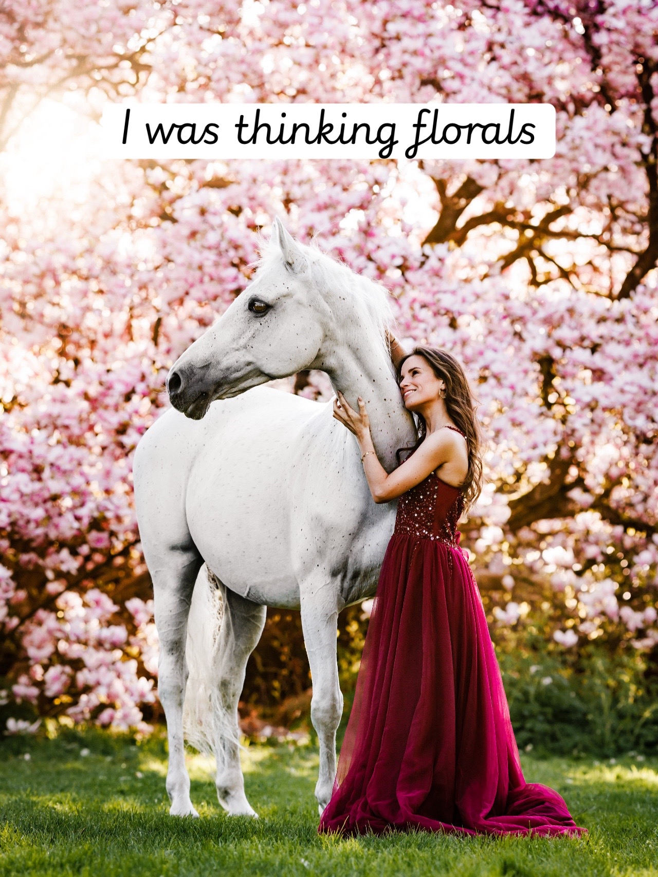 @Tisha 📸🦄 Equestrian Photog