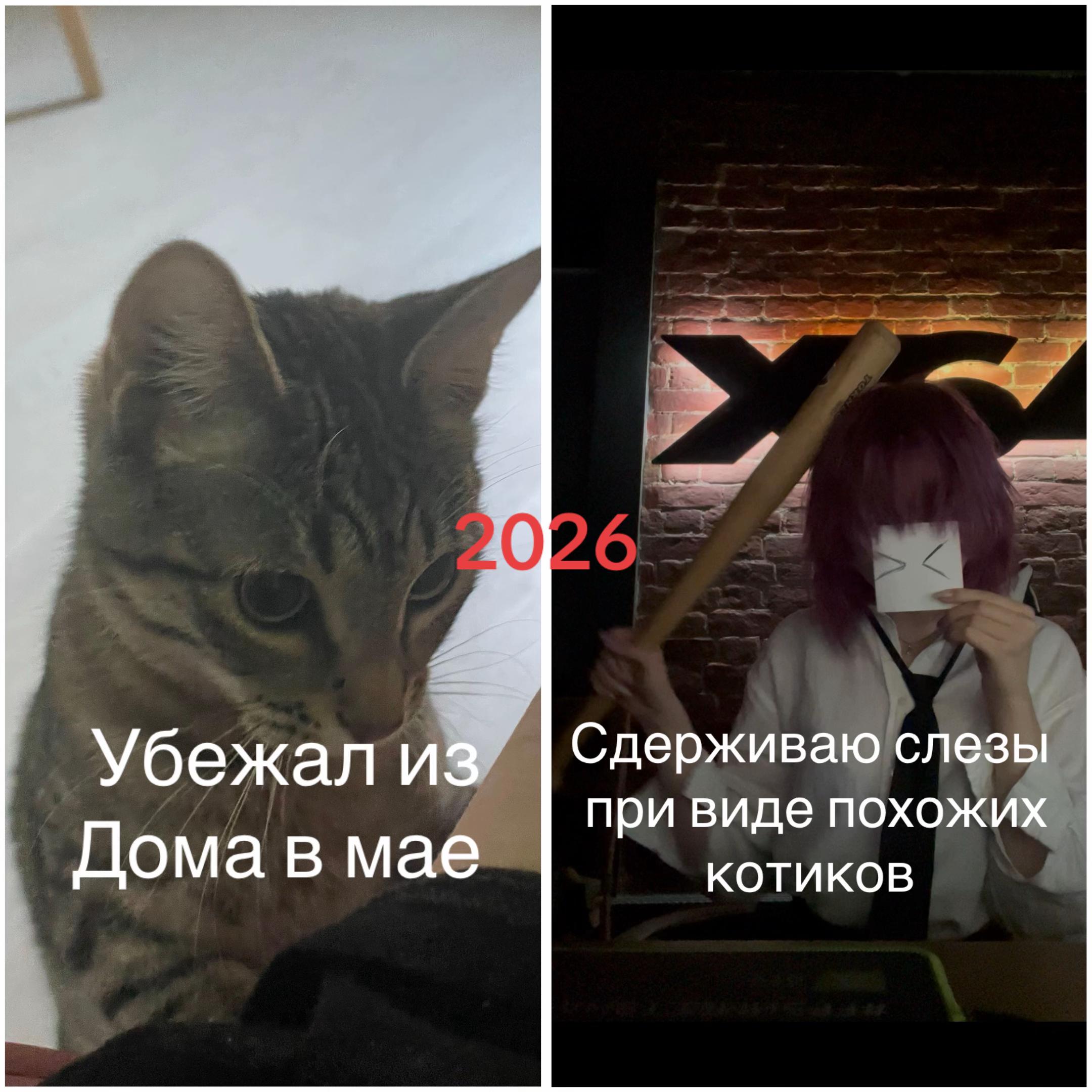 @тгк: кирики