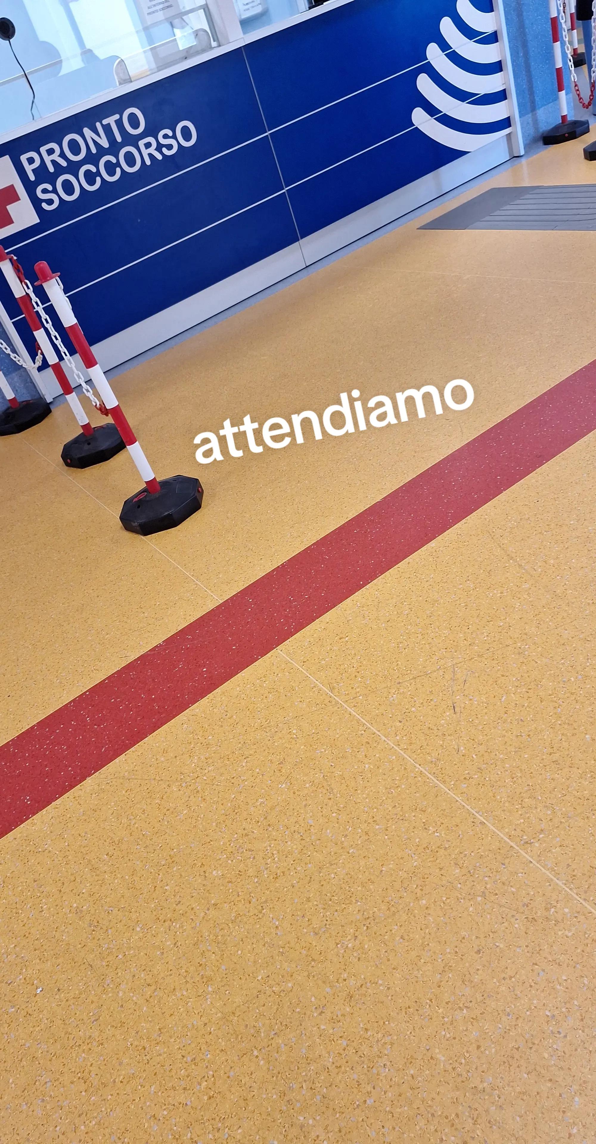 @francesca