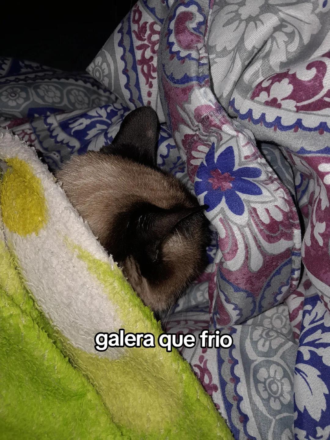 @☯