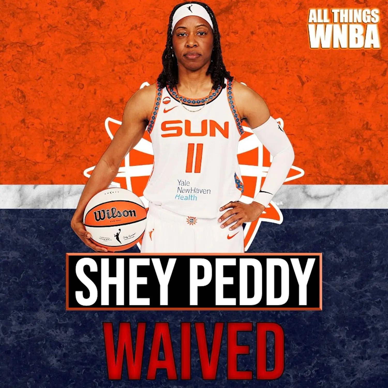 @All Things WNBA