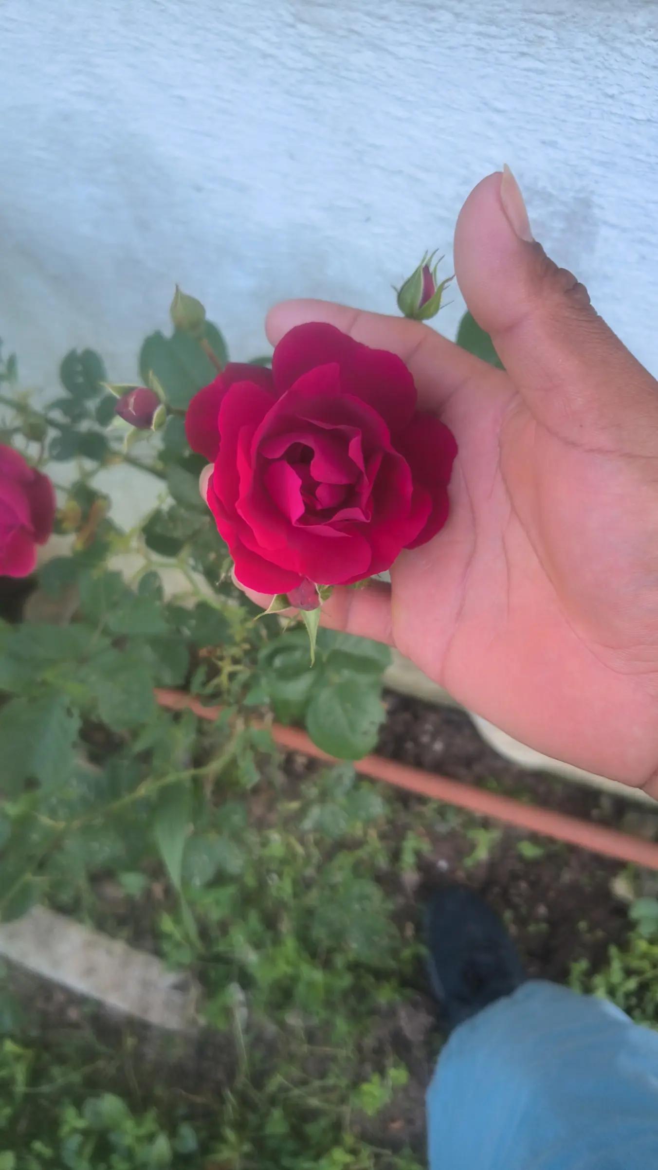 @chavalon93 101012