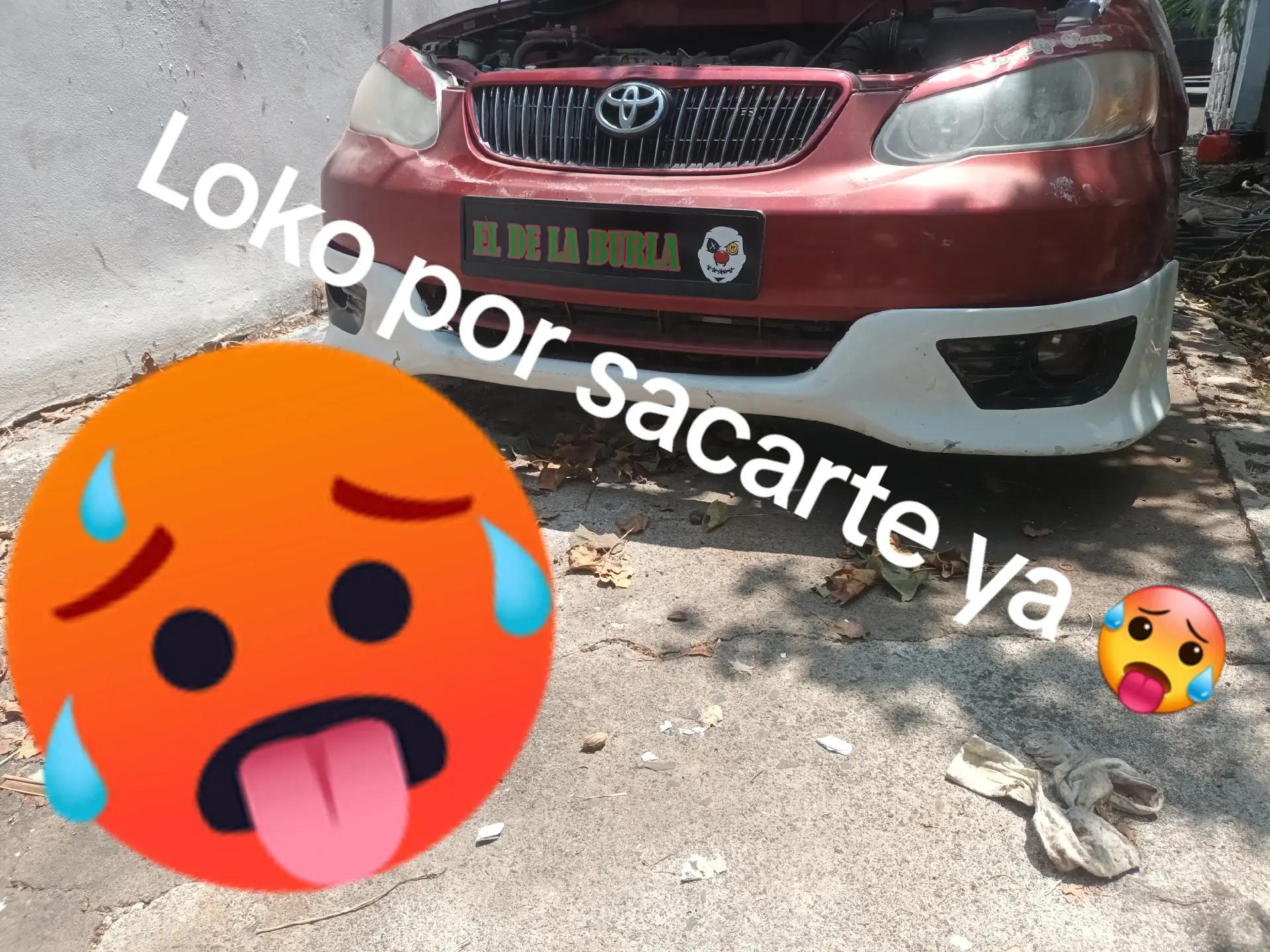 @leinel236