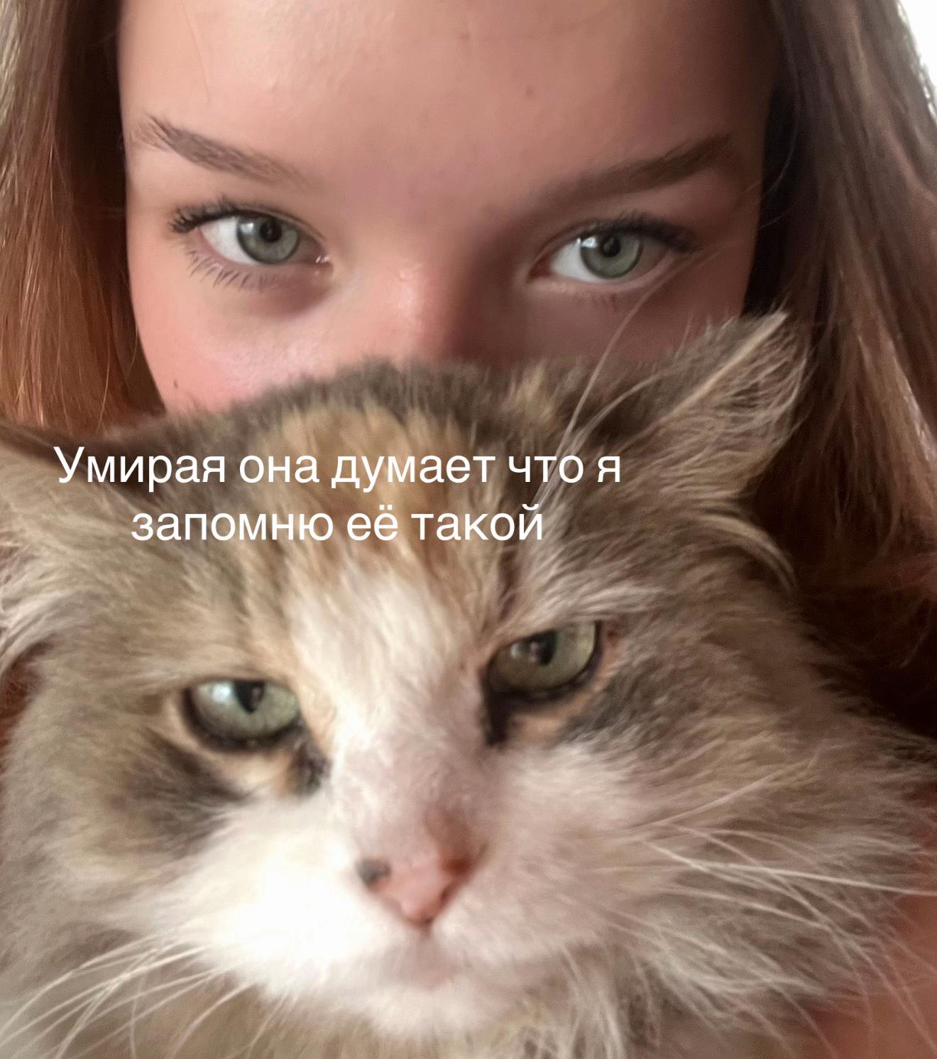 @ameliya1armyaninova