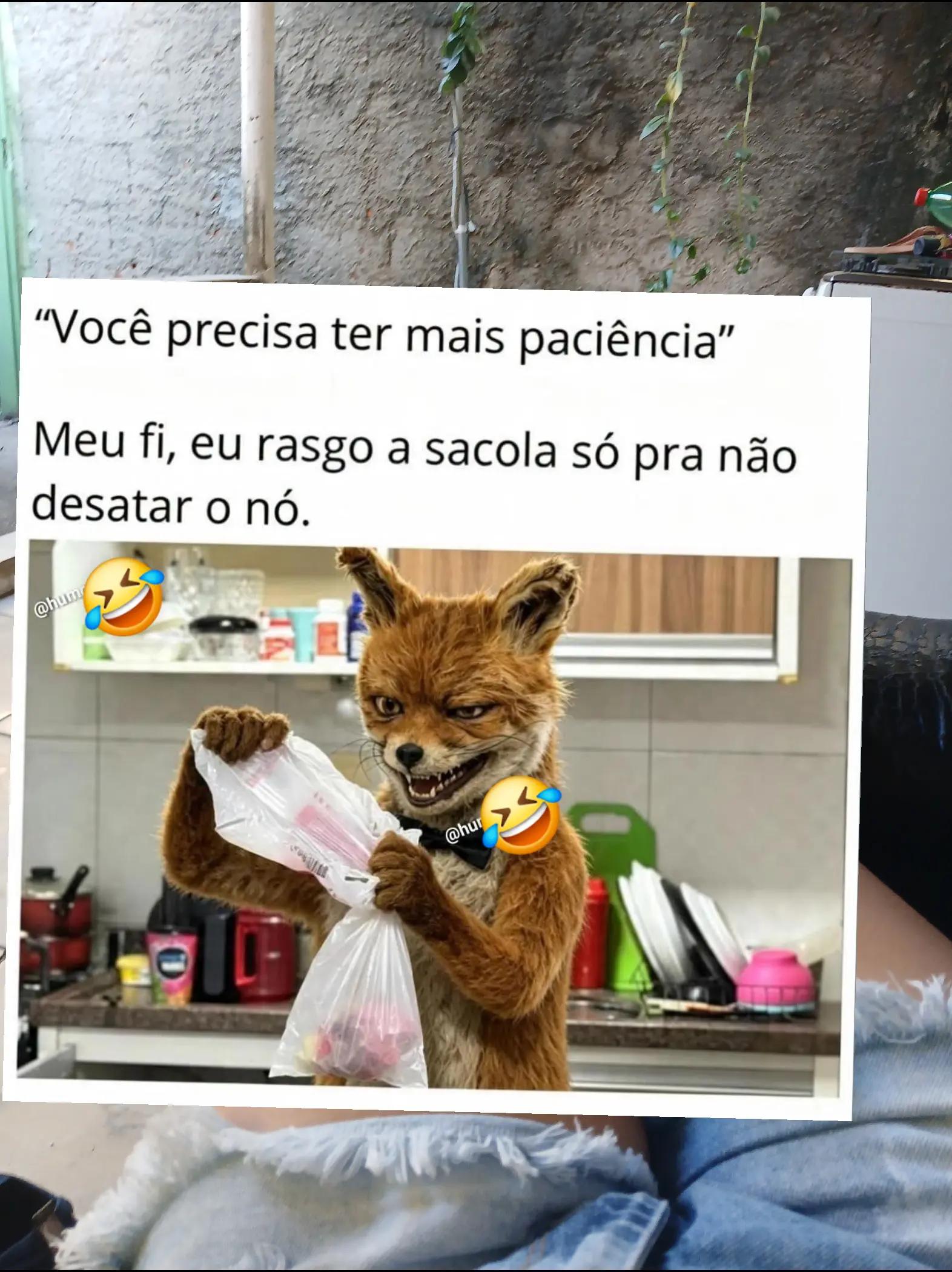 @humor da Célia 🤣