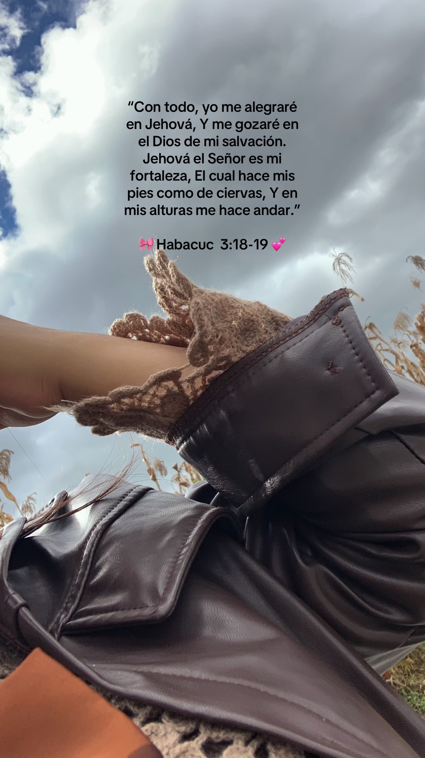 @𝓔𝓿𝓮𝓵𝔂𝓷🌷
