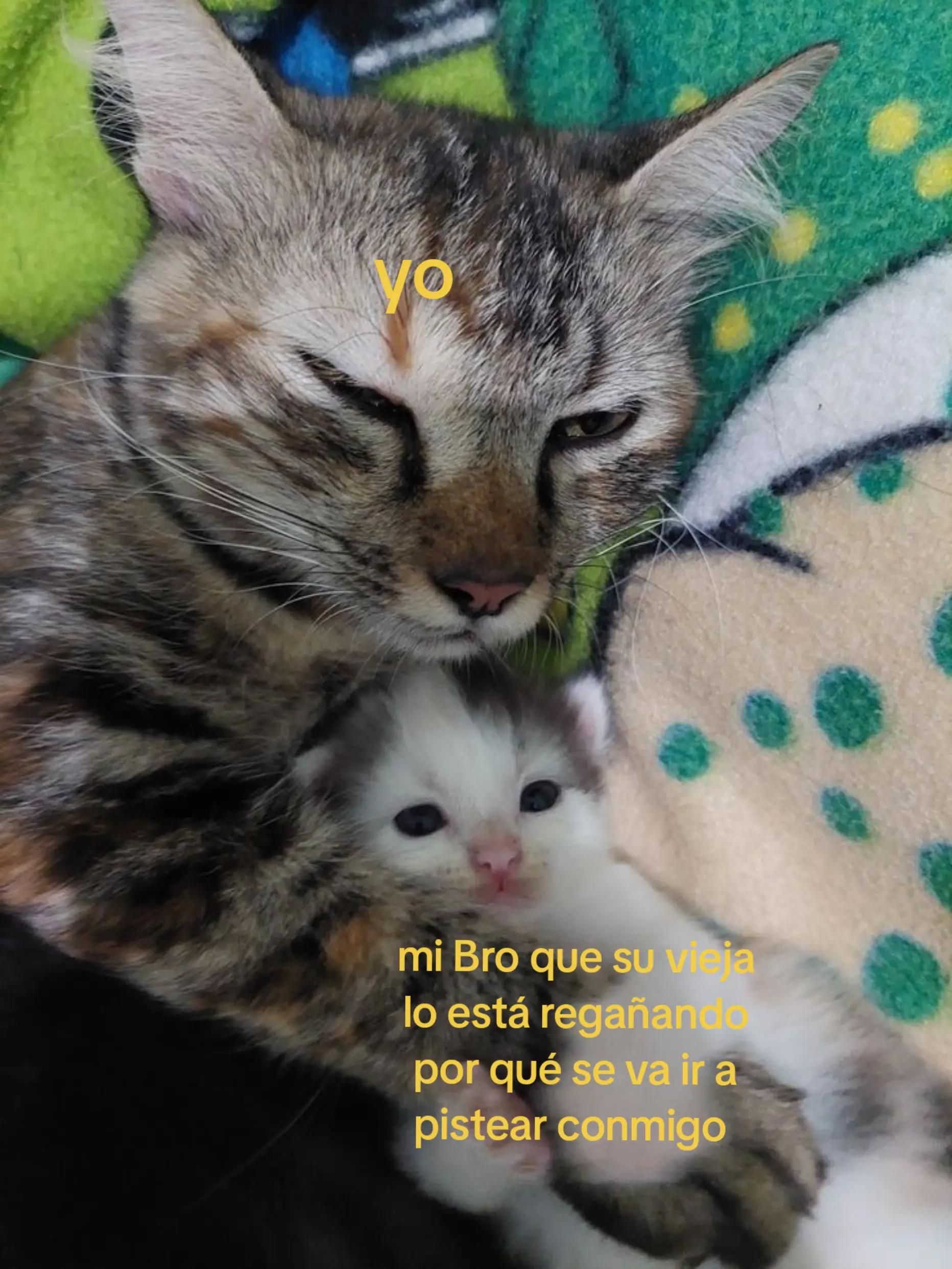 @G4b_n