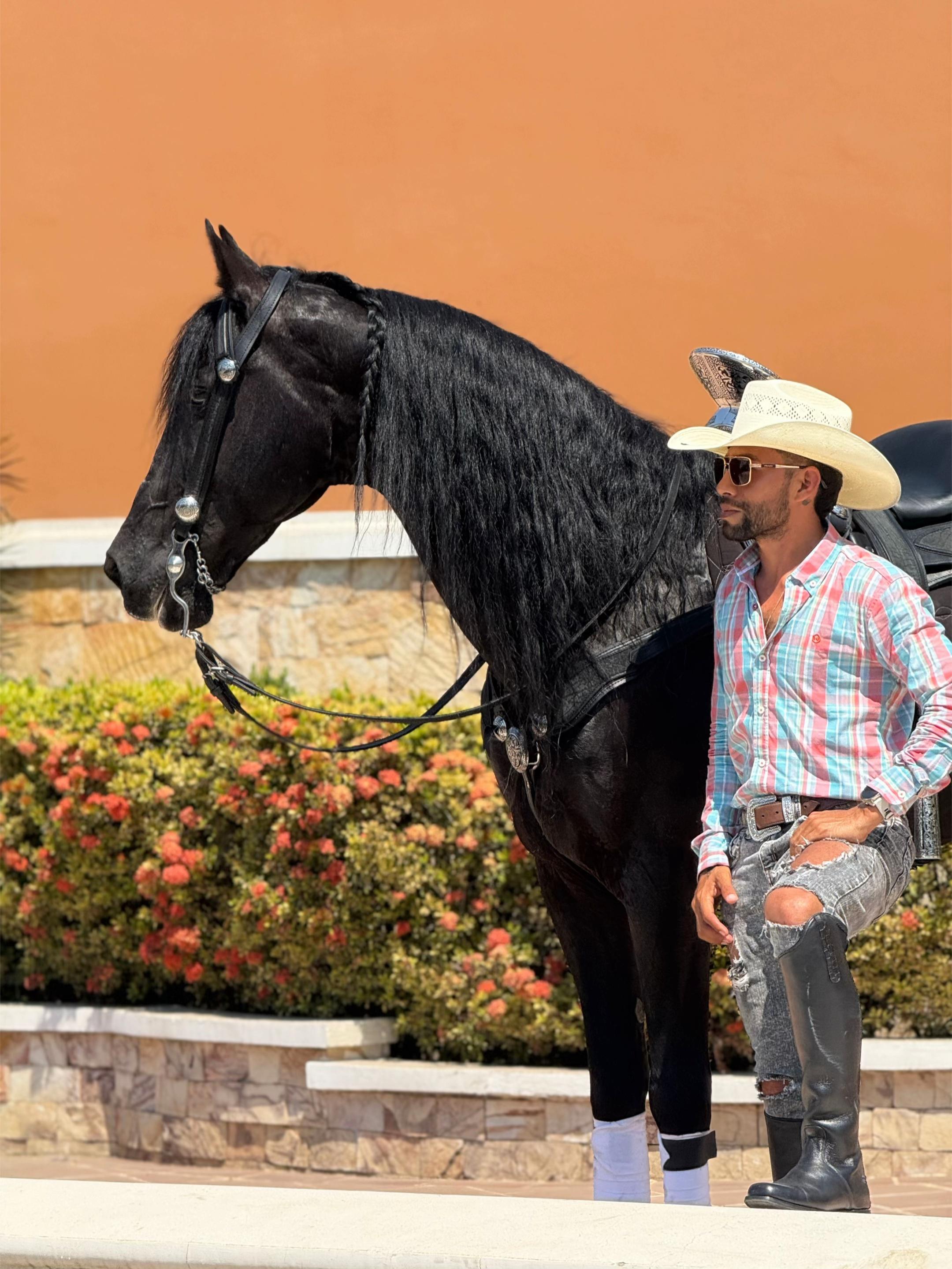 @reydelcaballo.gt