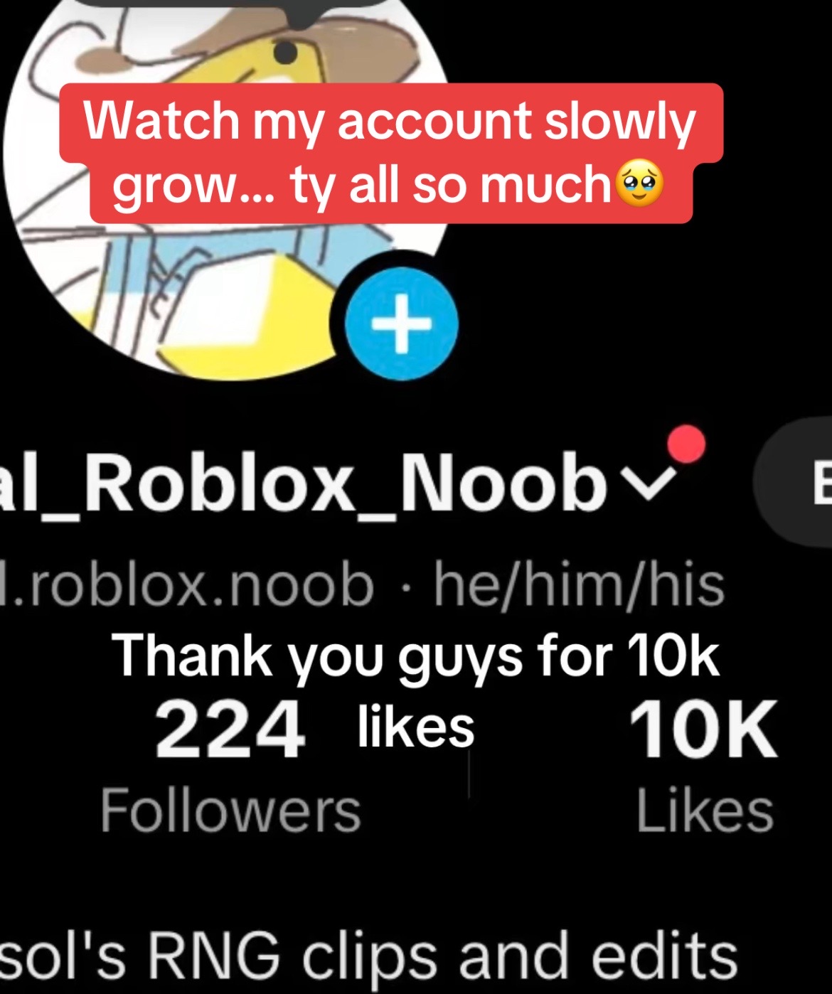 @Normal_Roblox_Noob