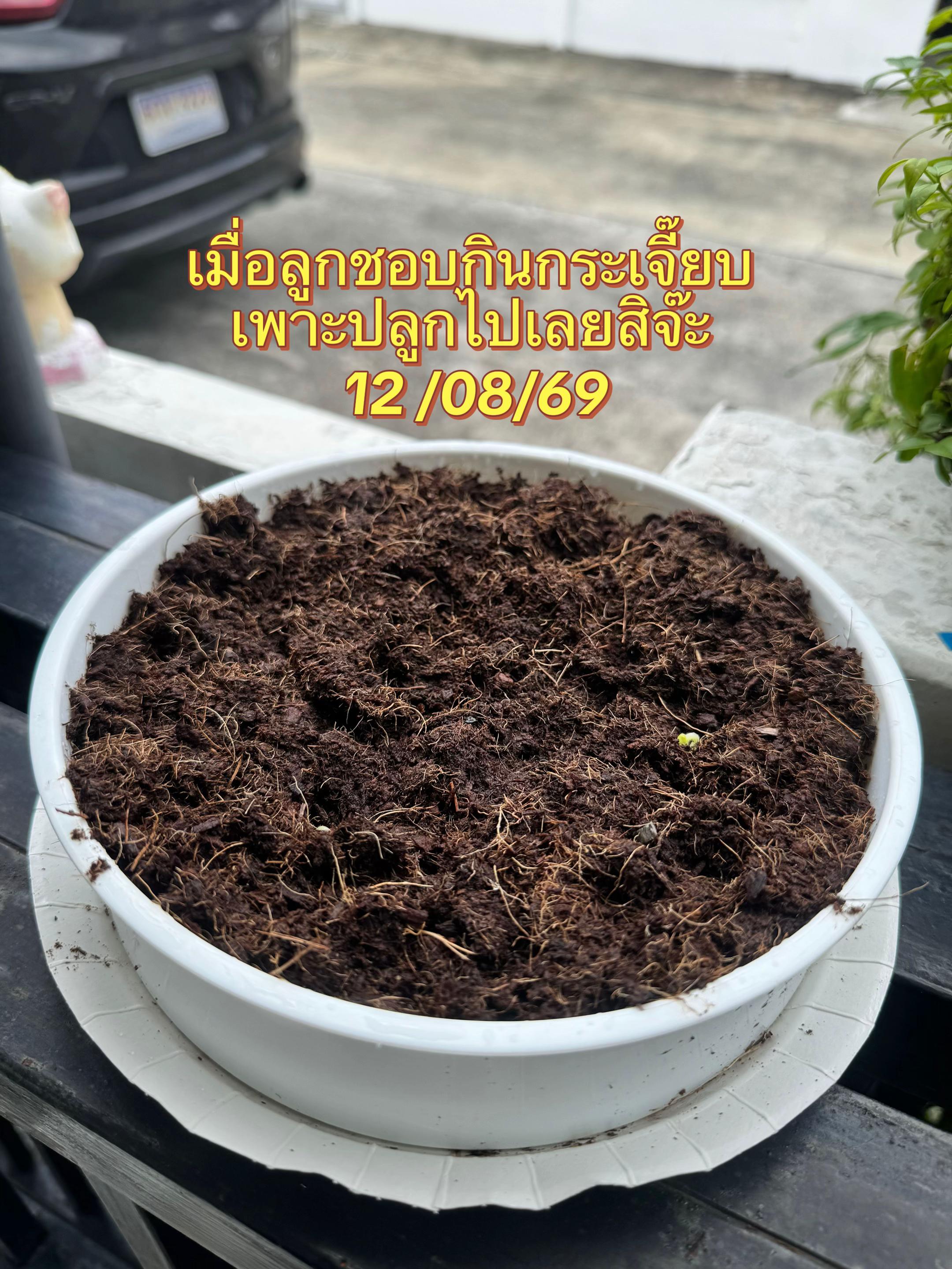 @แม่จูน