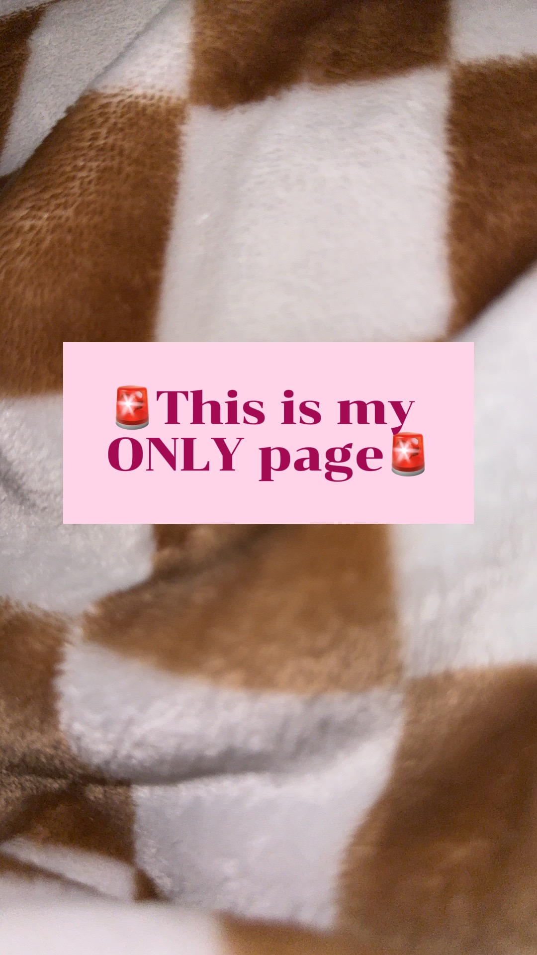 @christinefnp