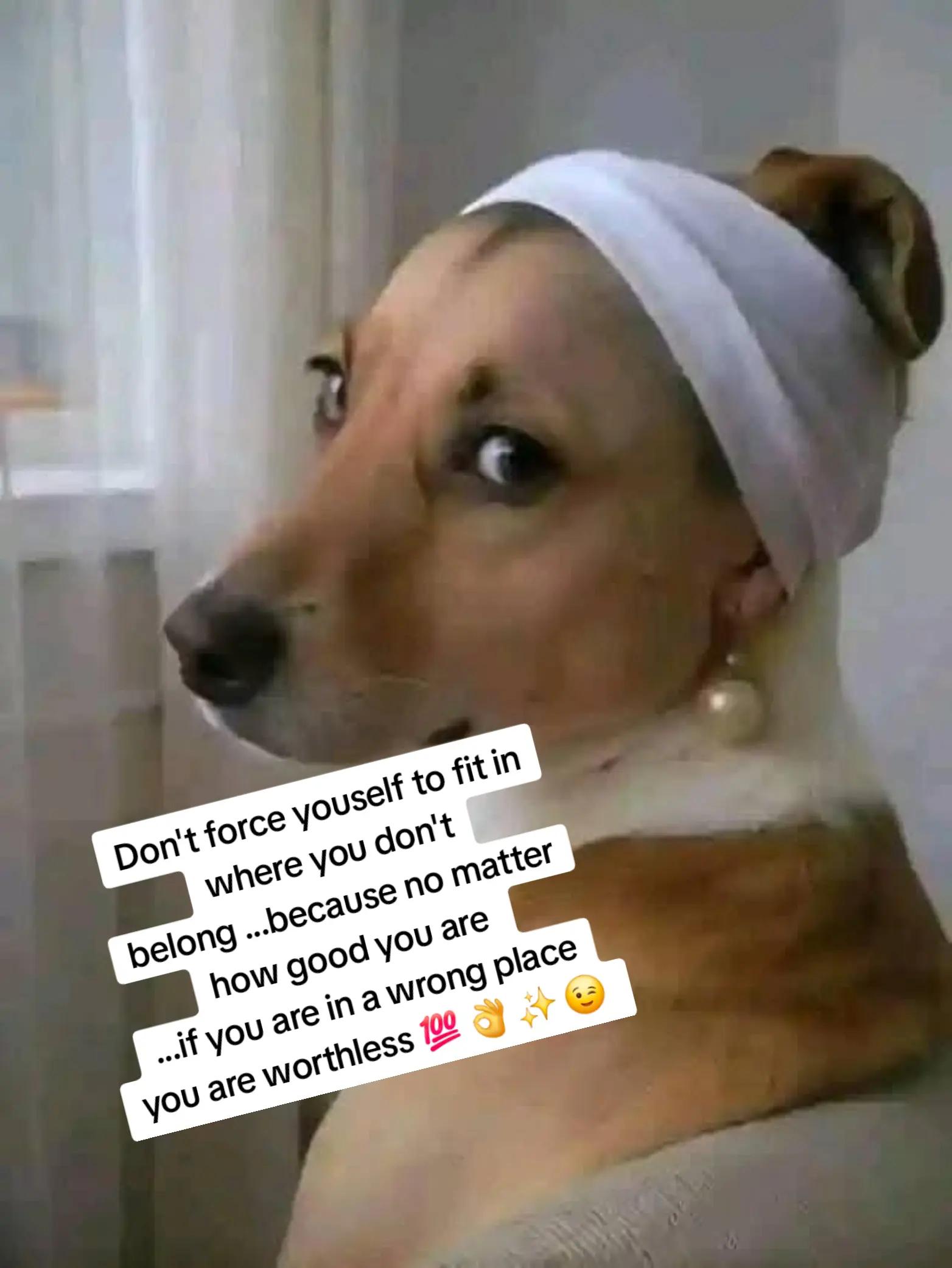 @millie 💫💞