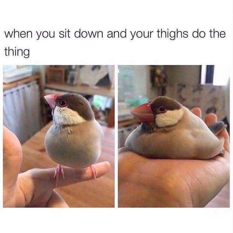 @tashanorthcutt948