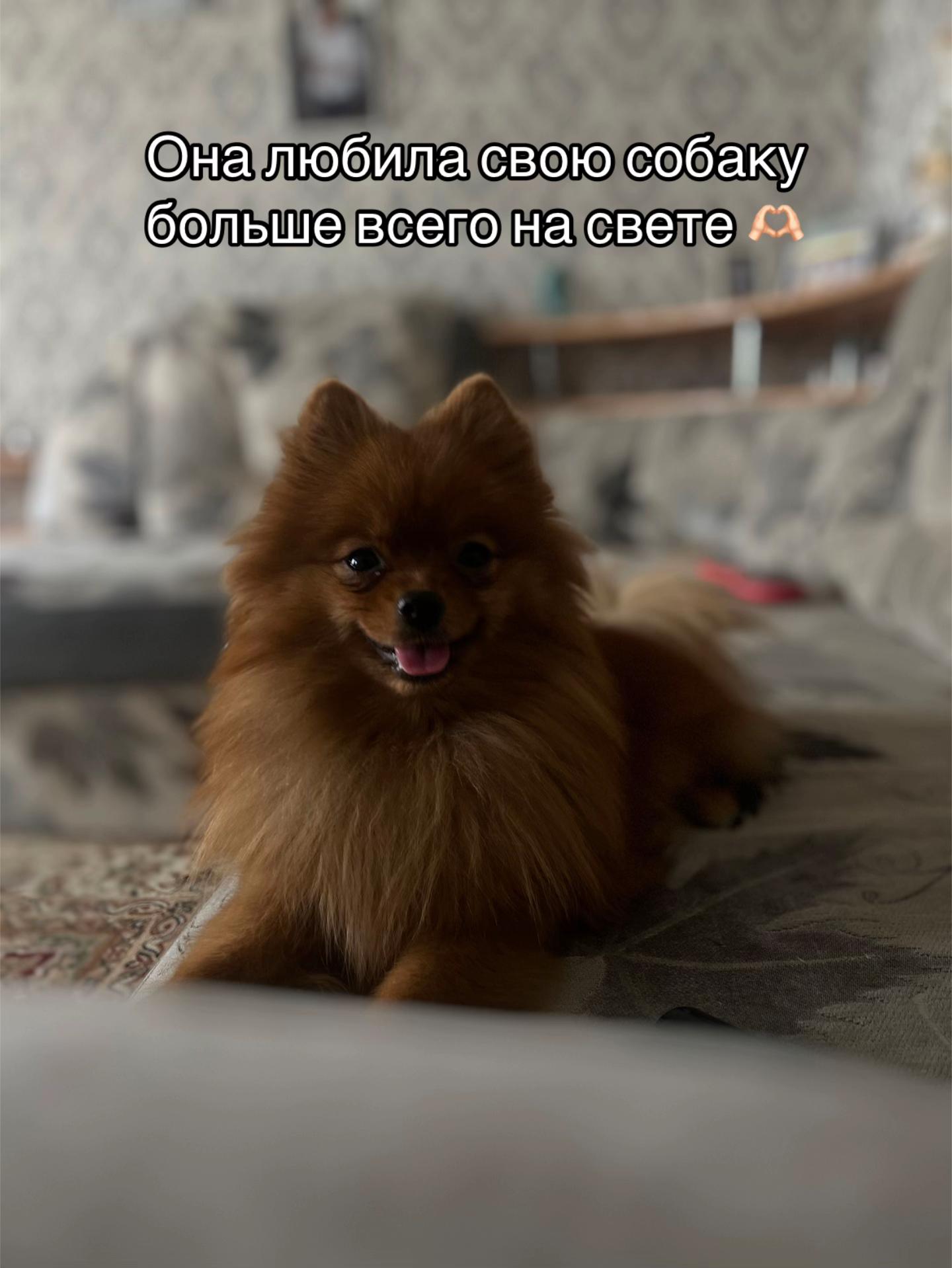 @❤️