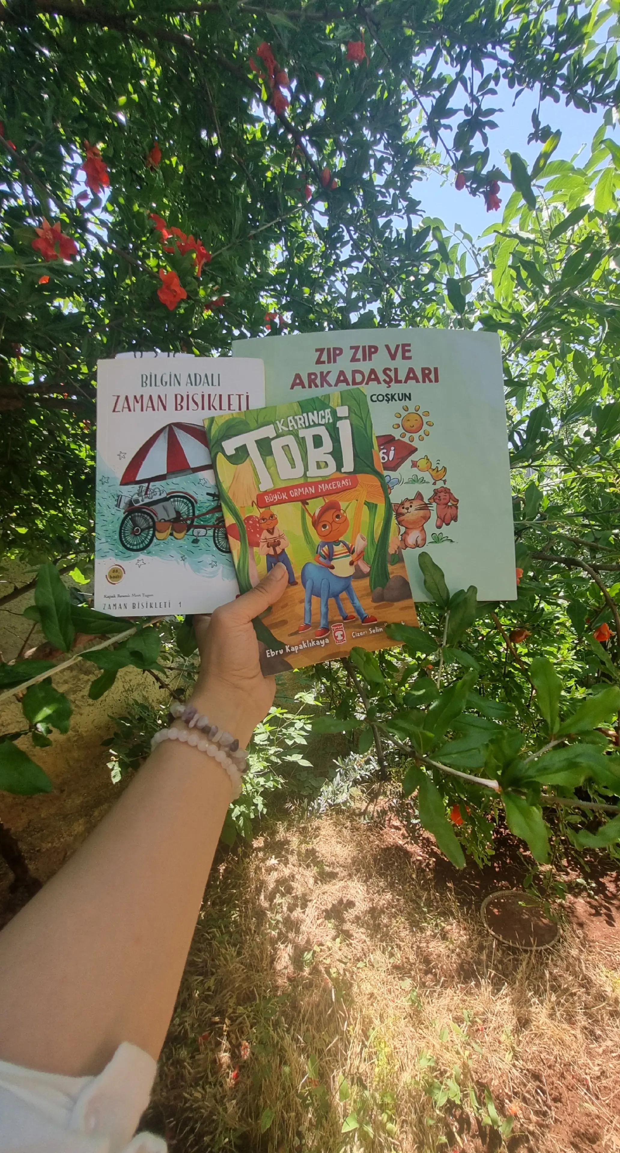 @Anlayarak Hızlı Okuma Becerisi