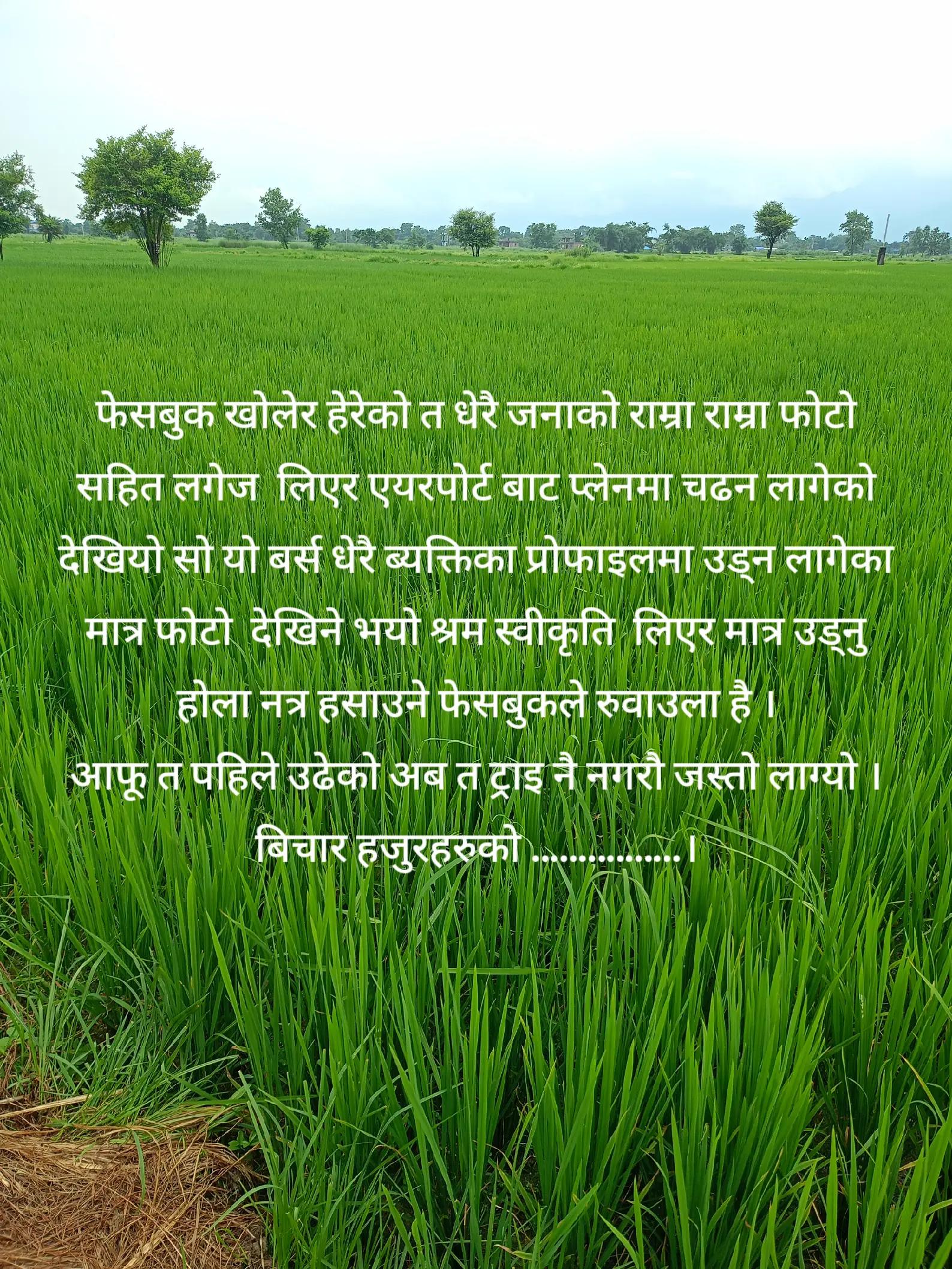 @Surya Prasad Pandey