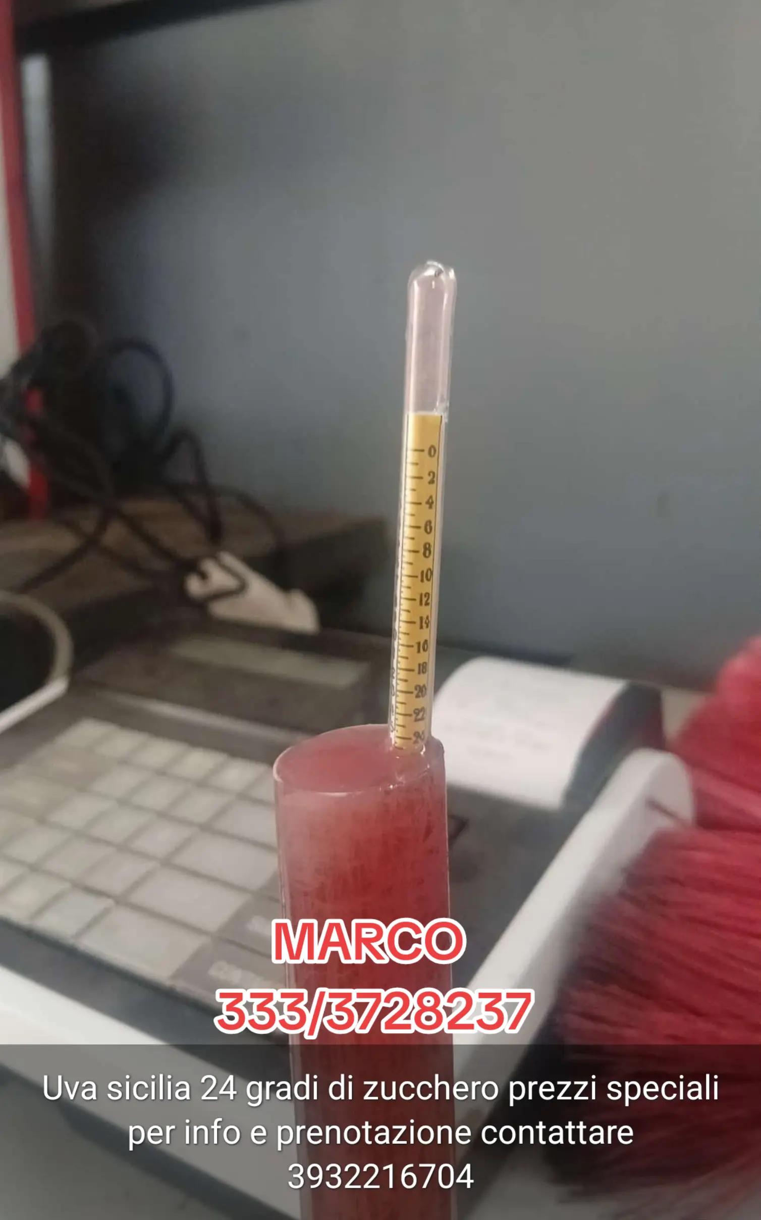 @Marco Maione