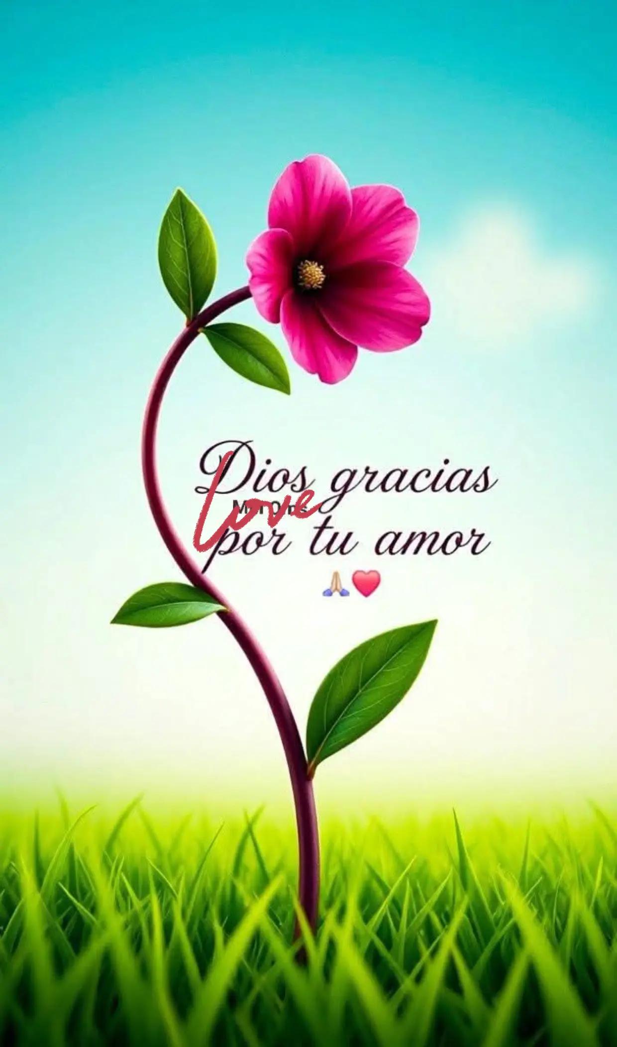 @clararabadan292