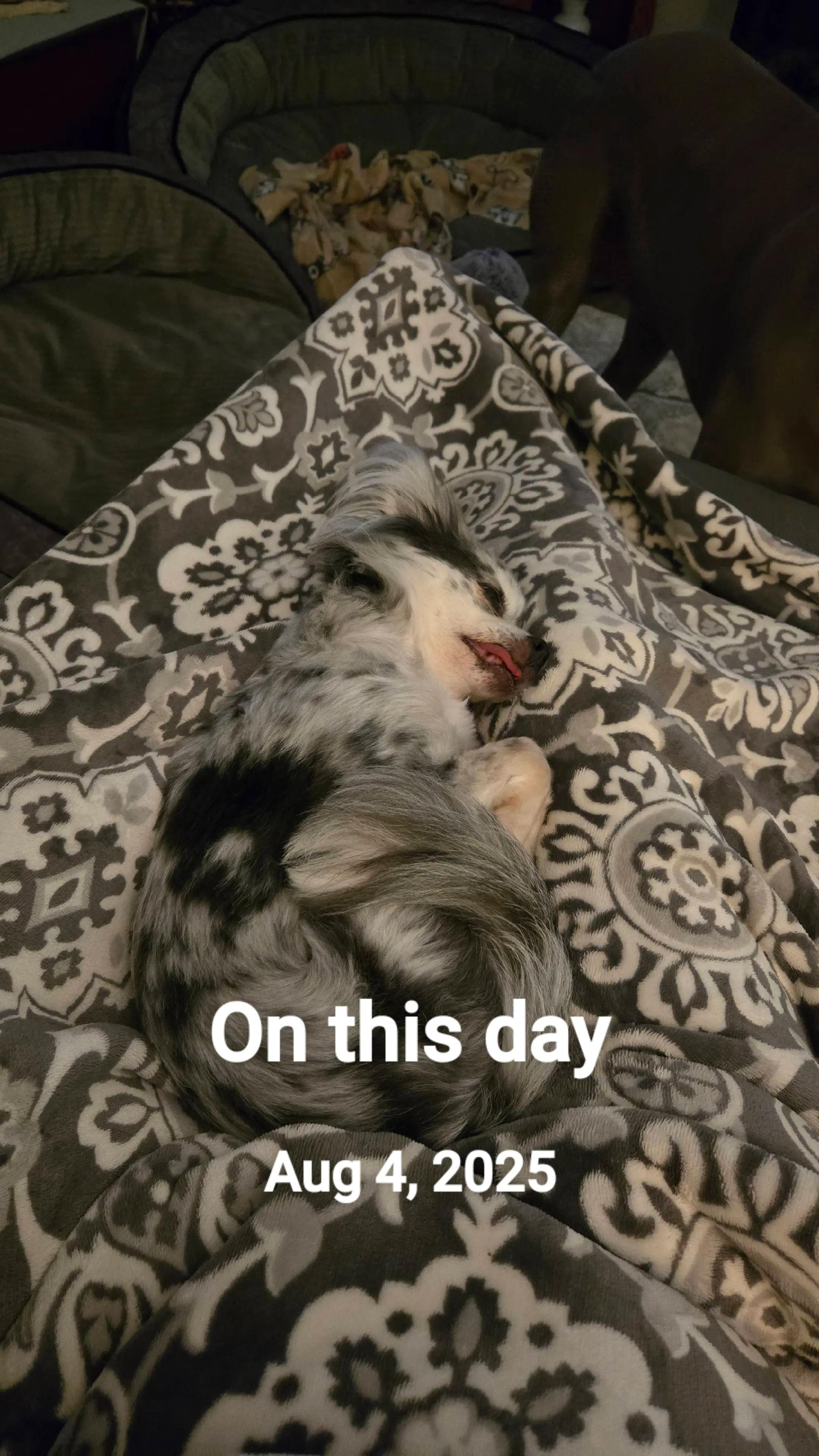 @Tina72🤙
