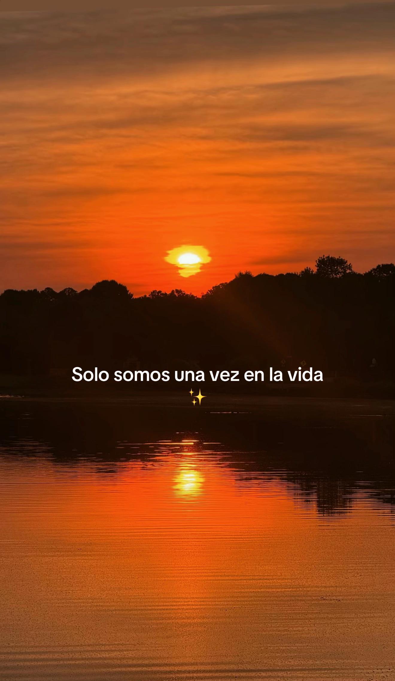 @Nayara 🌻