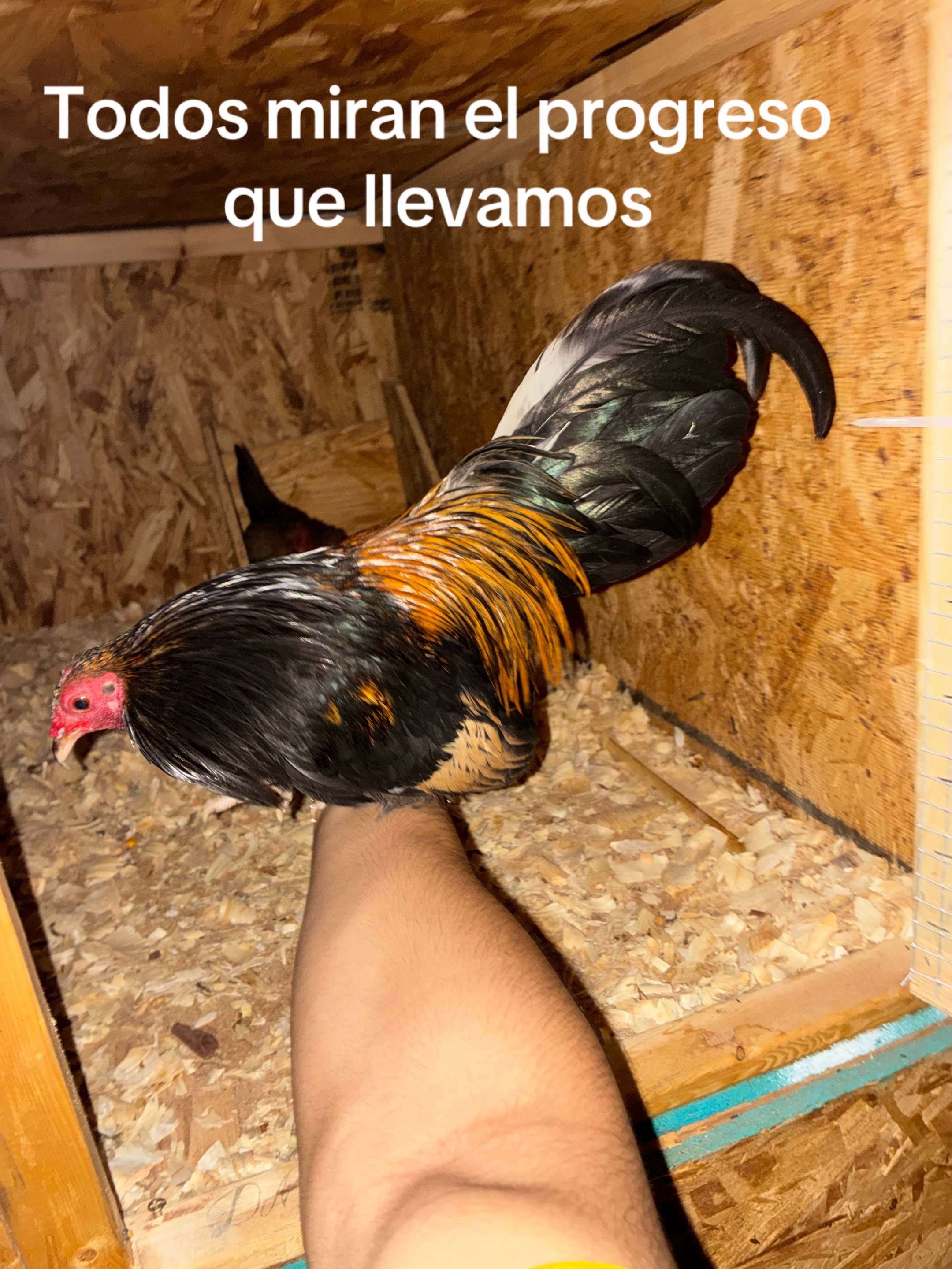 @FARMING.MM56