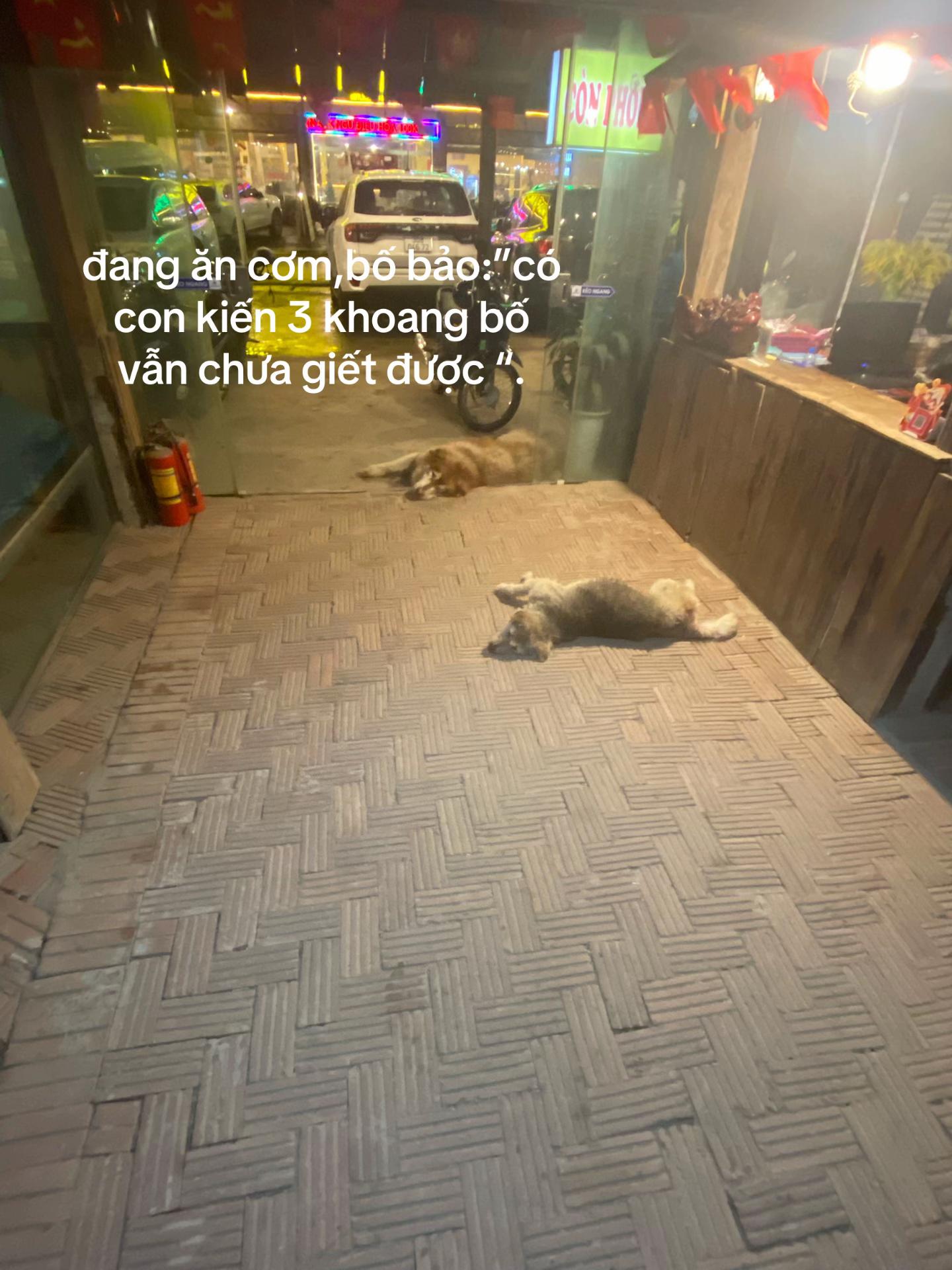 @Boy Mộng Mơ