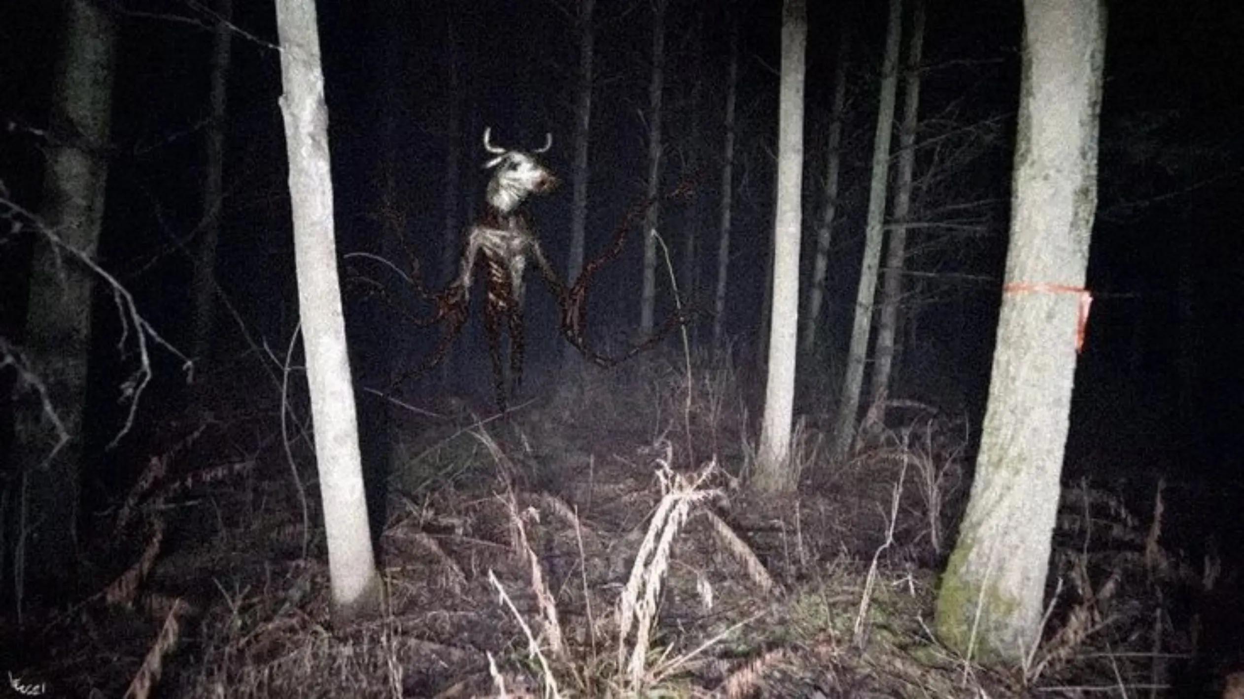 @the glitch worm 682