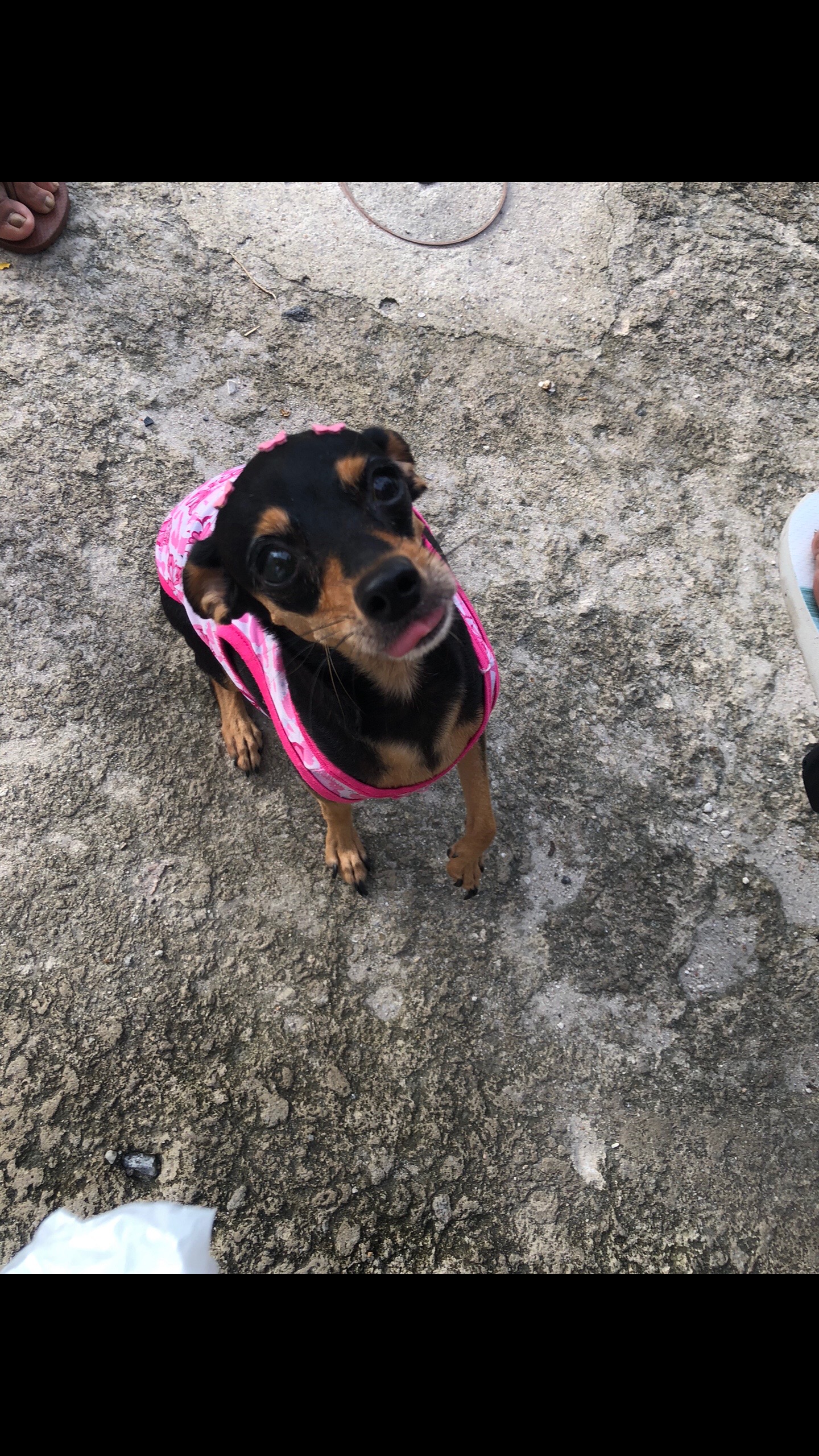 @𝙉𝙖𝙩𝙞𝙚𝙡𝙮 𝙎𝙞𝙡𝙫𝙖 🎀