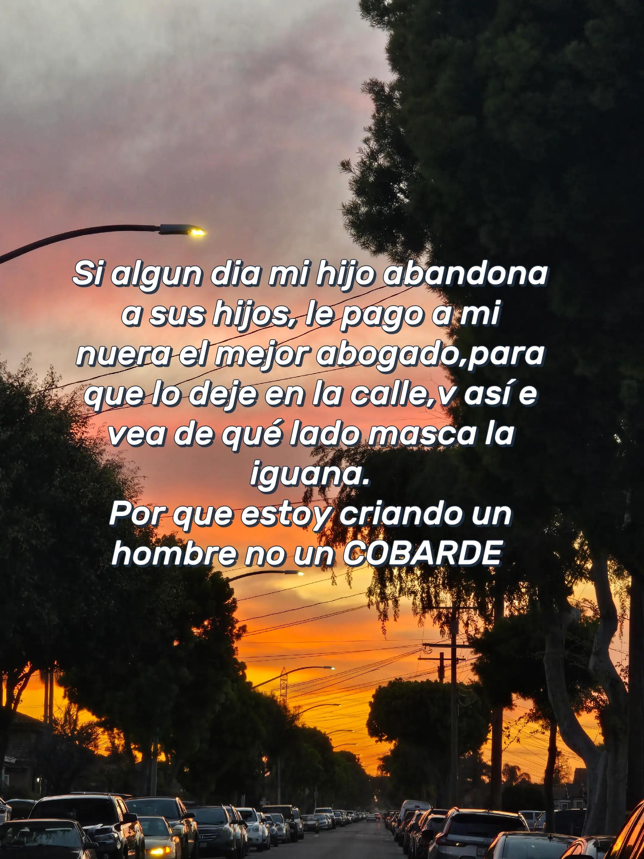 @🪸latinablog