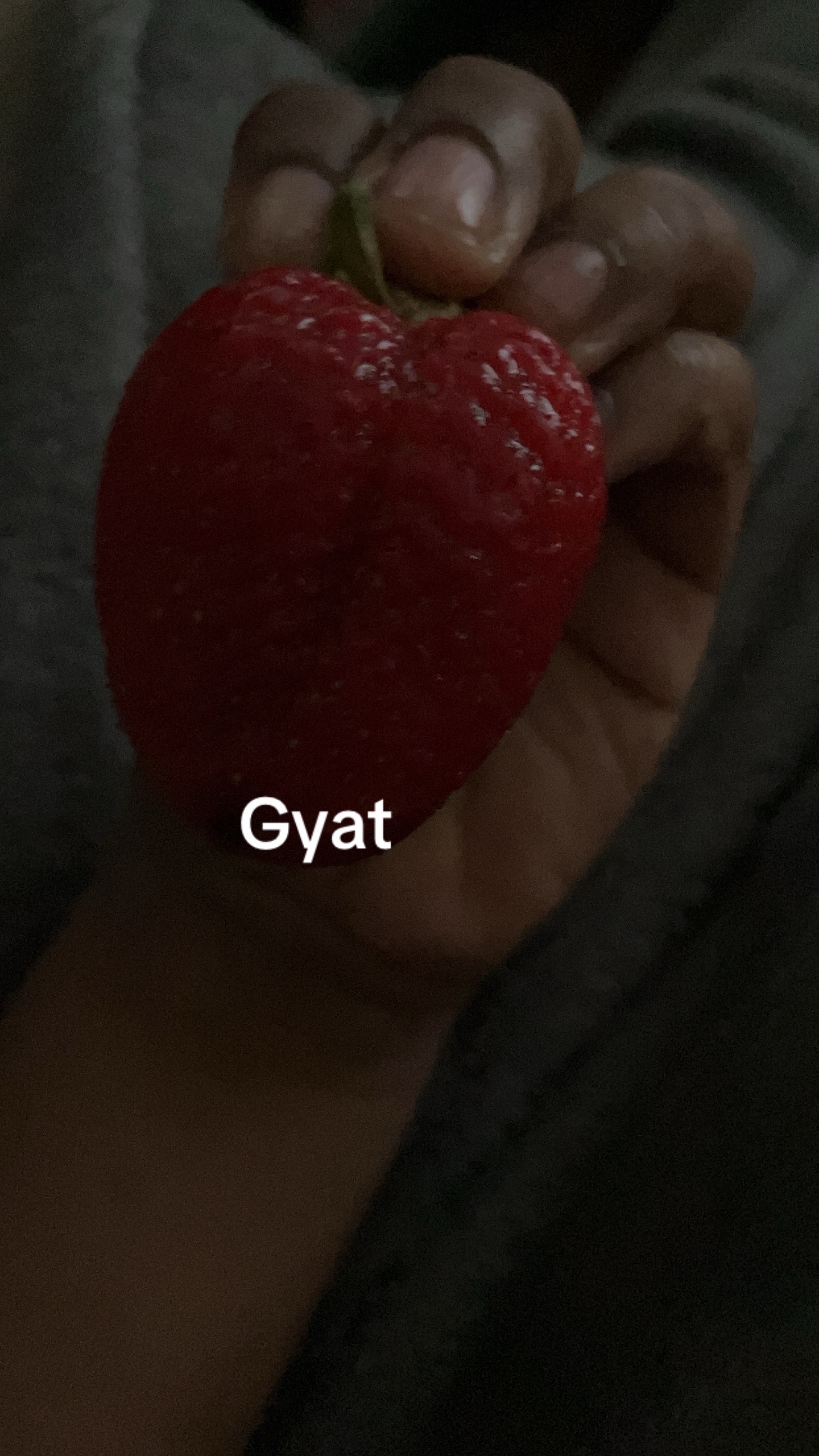 @gga