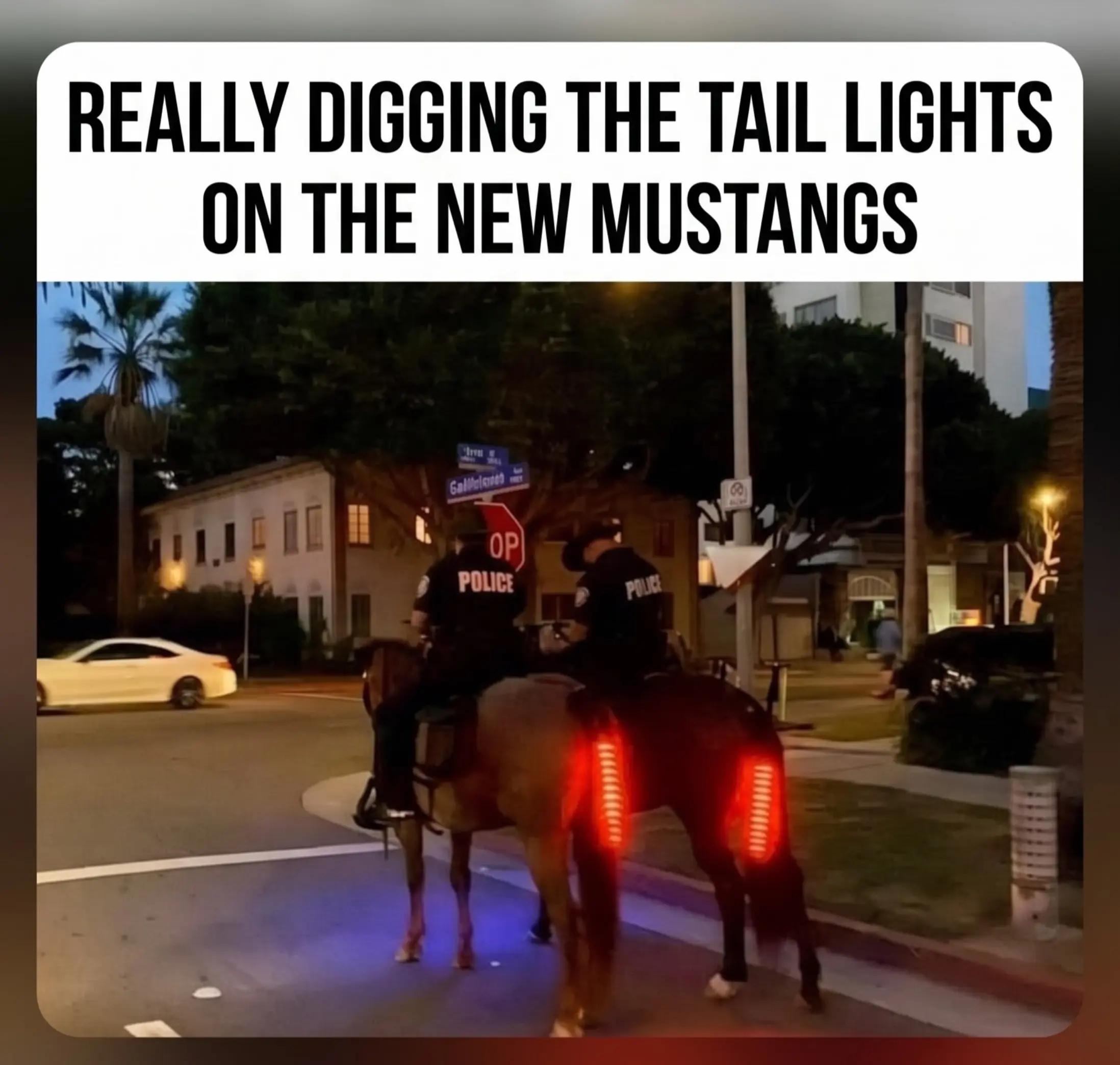 @streamhorse