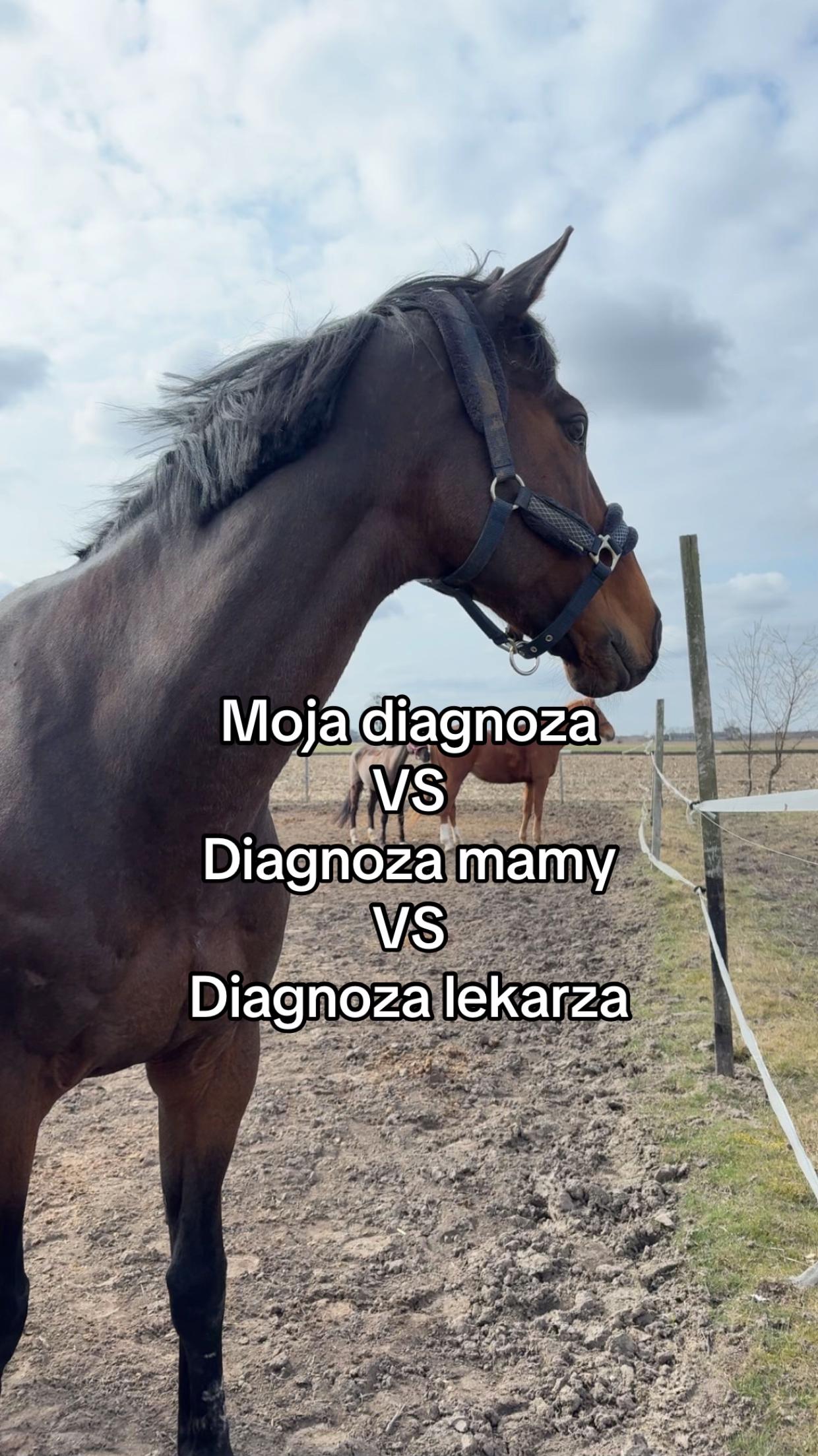 @zofka_eq