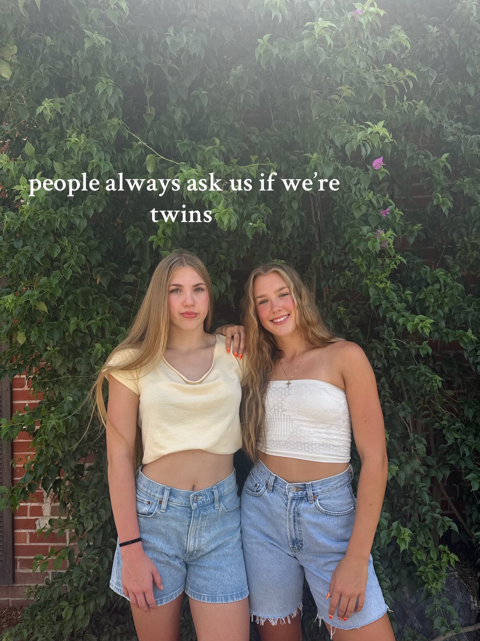 @lily borders