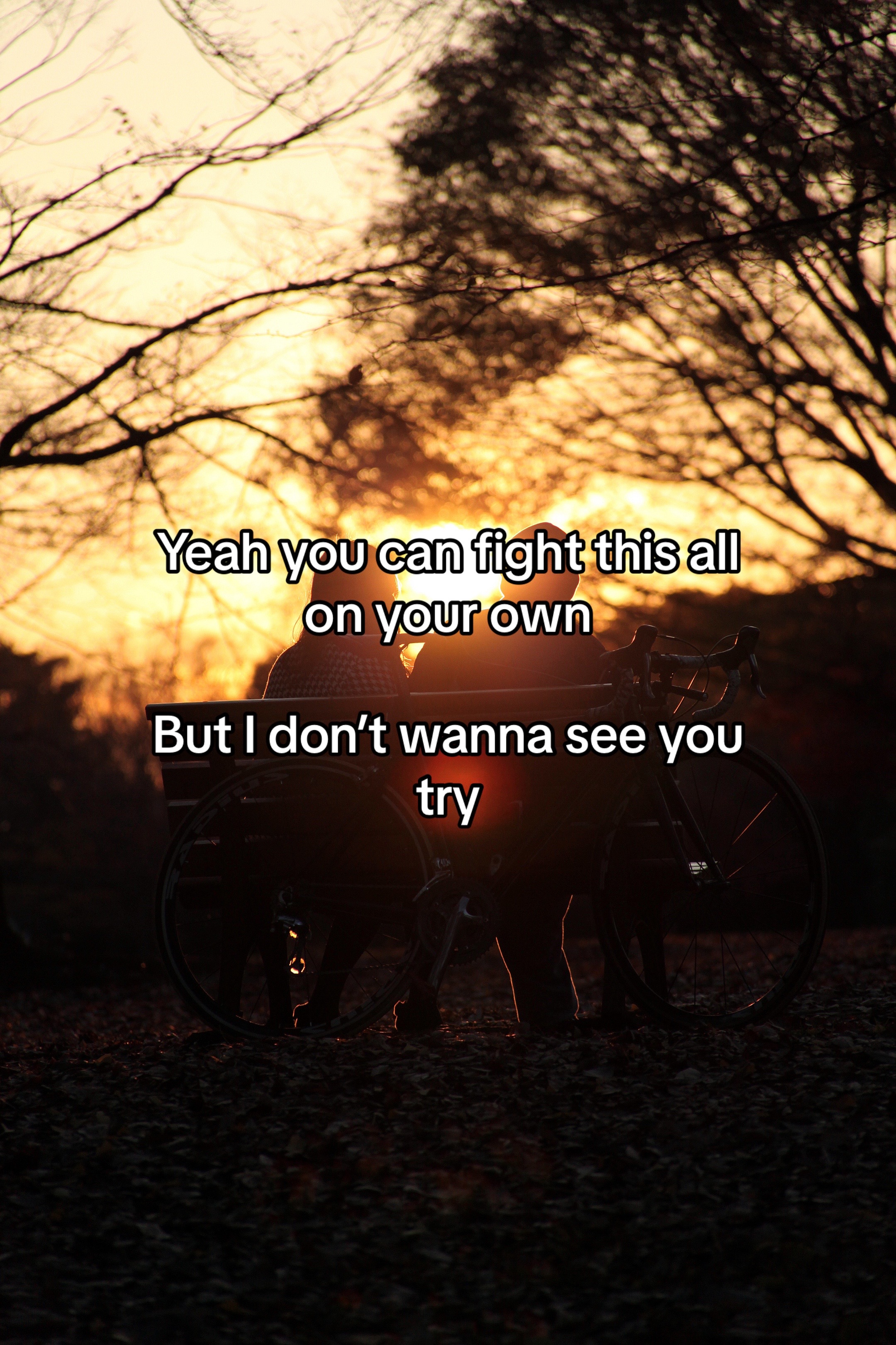 @Just Lyrics 📝