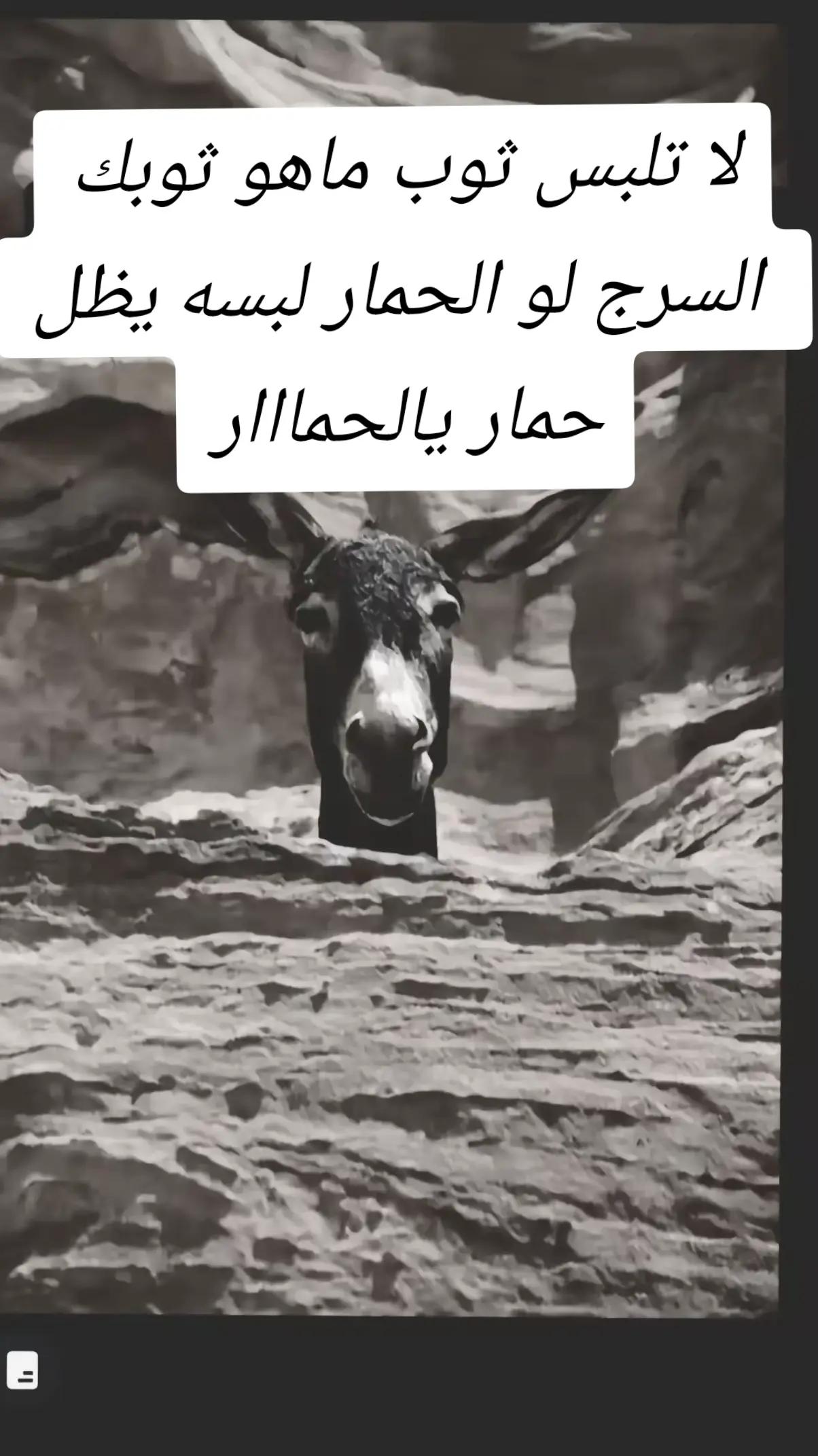 @꧂صہۗہۗهہۗيہۗہۗب الہۗمہۗصہۗري