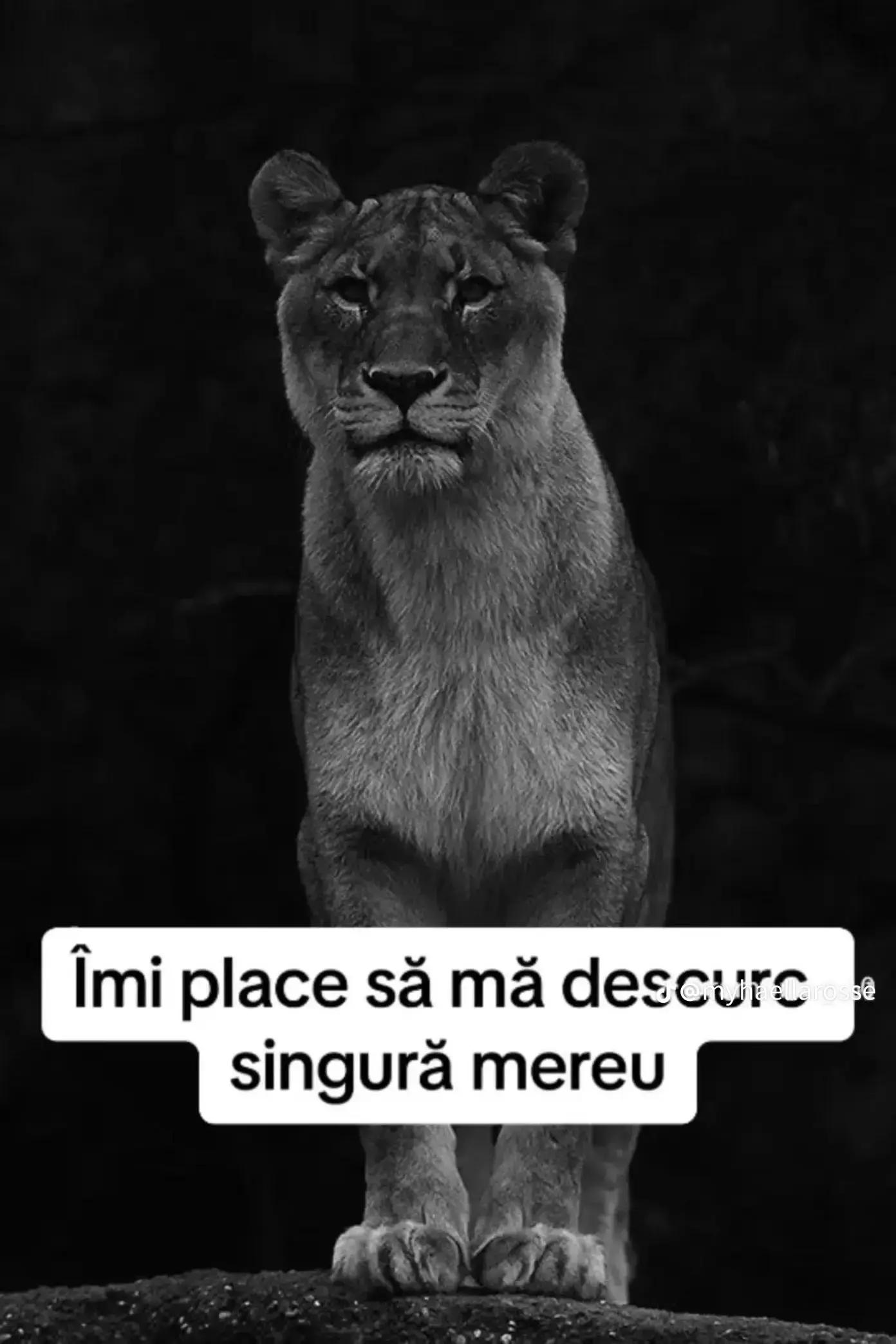 @Seby Sebică❤️💪☺️