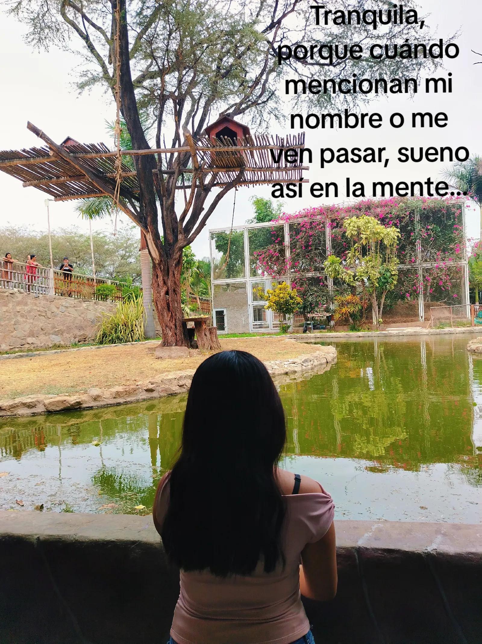 @Lucero💘
